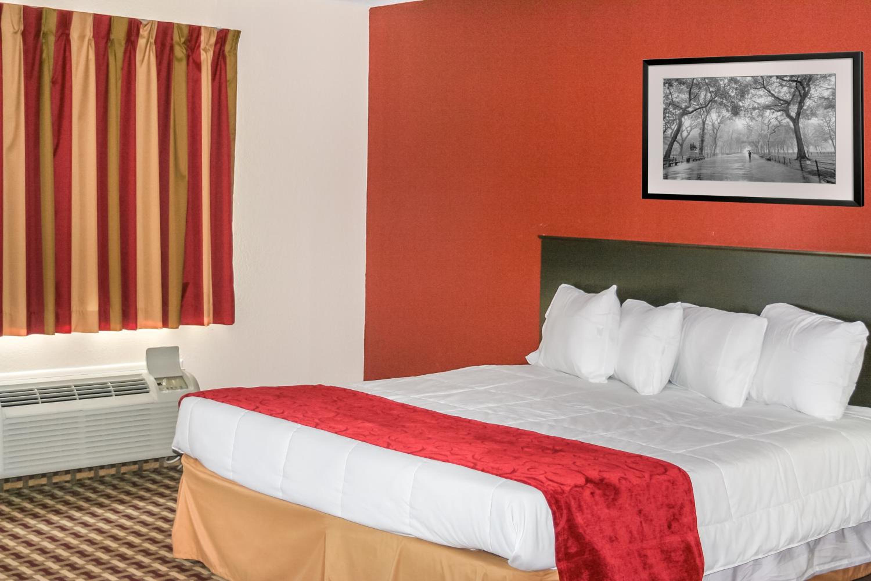 Double Room - Disability Access photo 1