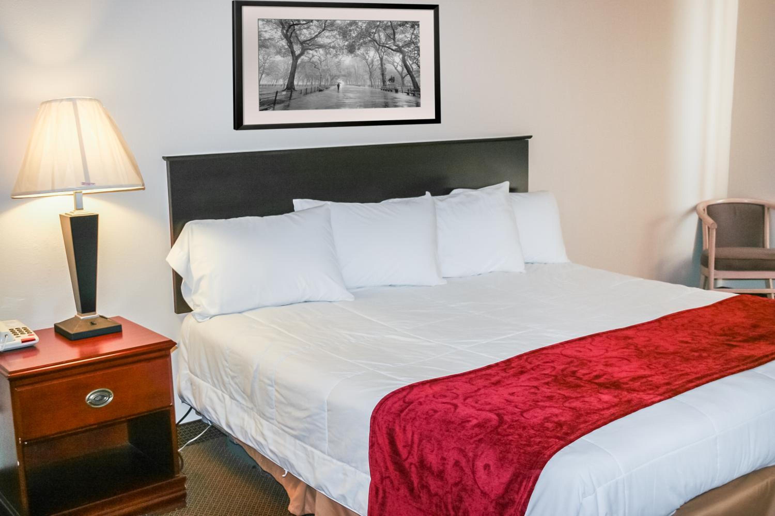 Double Room - Disability Access photo 2