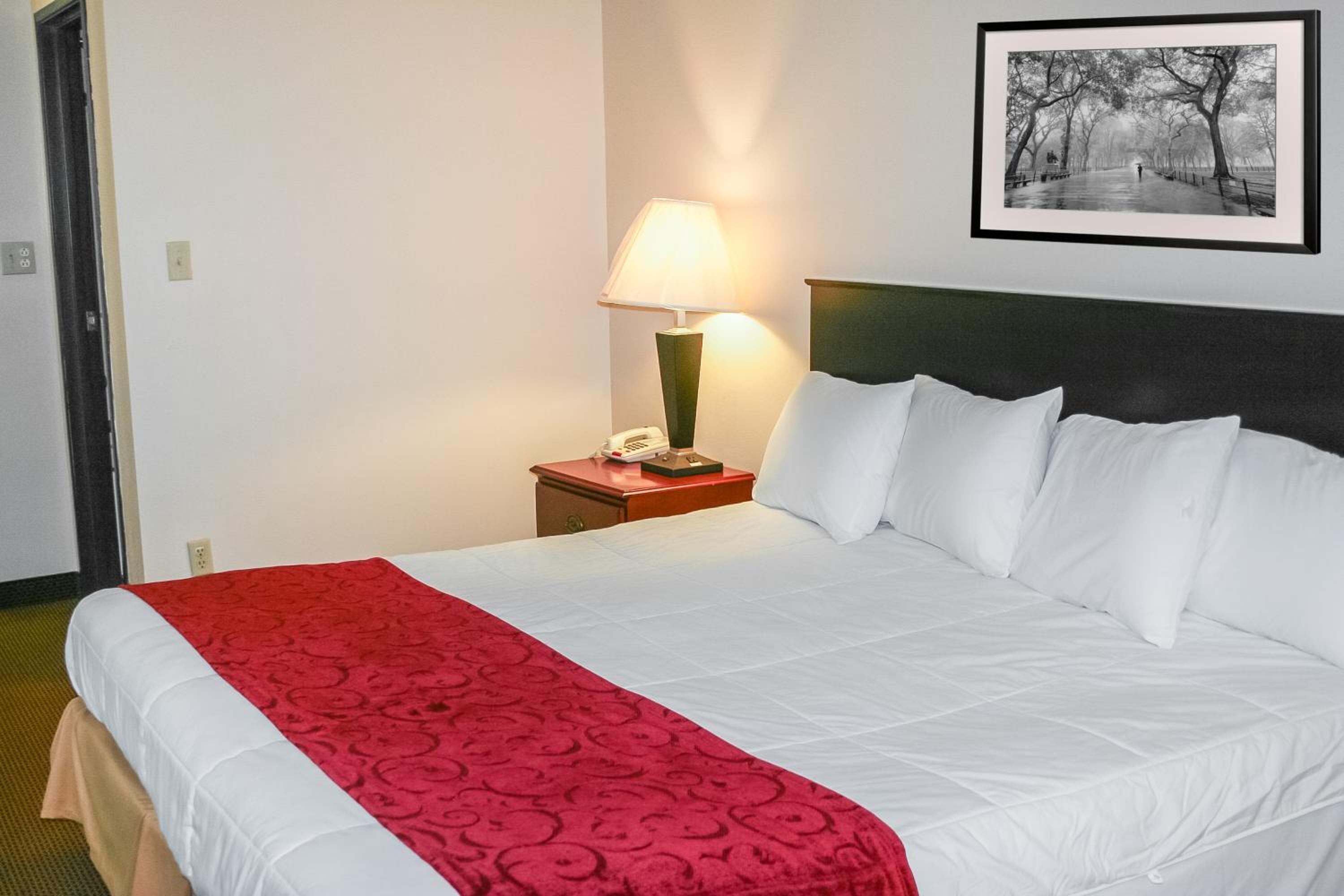 King Room photo 3