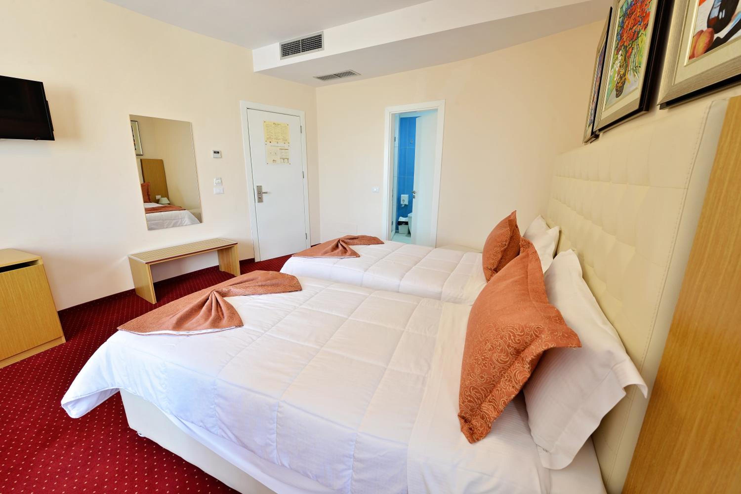 Deluxe Double or Twin Room photo 3