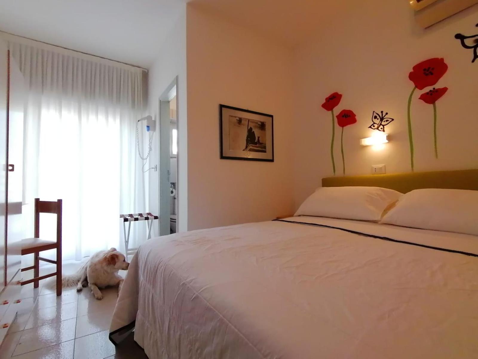 Quadruple Room photo 1