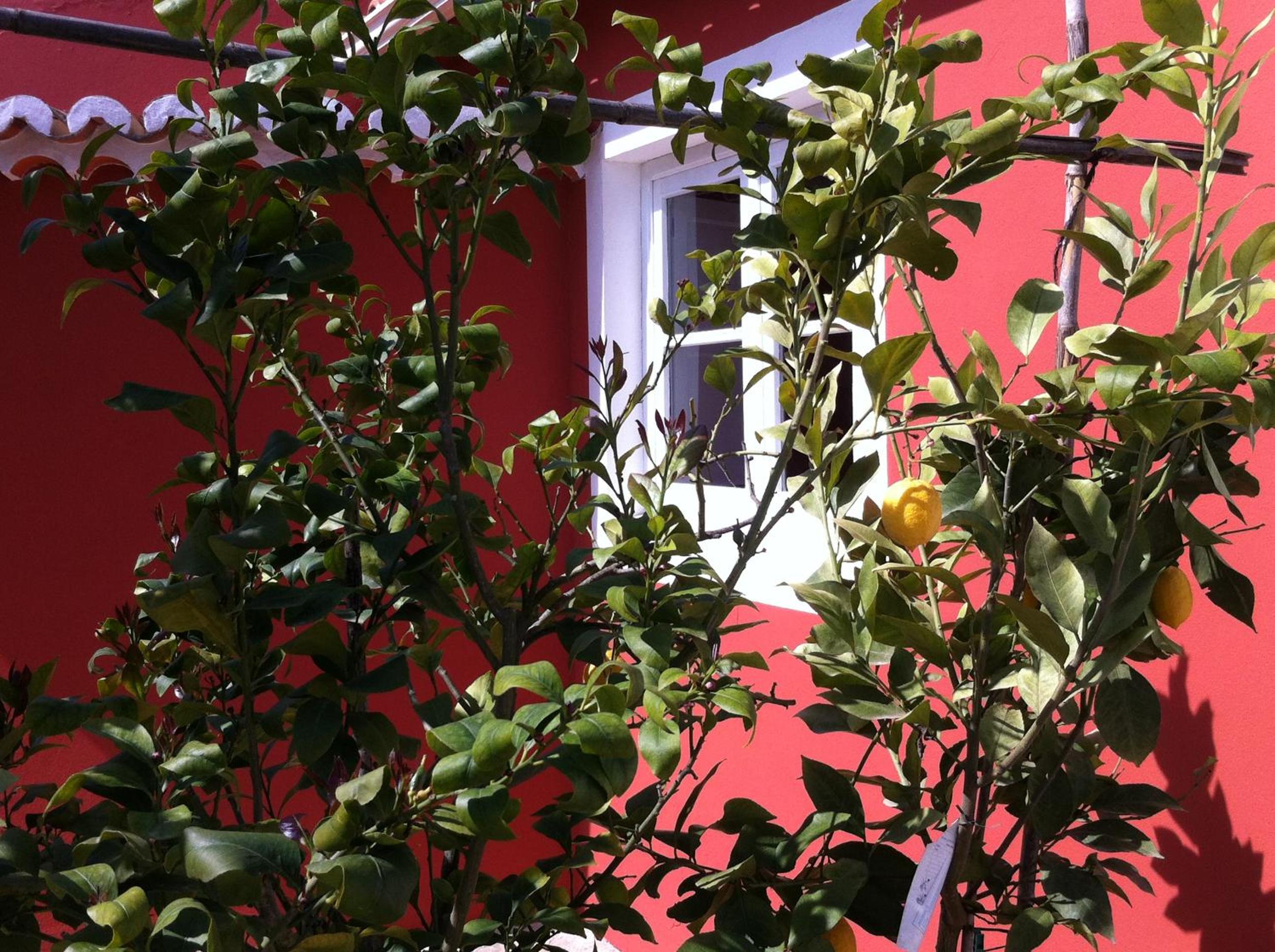 Double Room with Garden View - Photo 4
