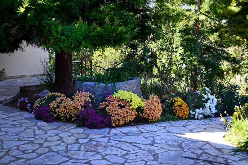 Villa - Photo 96