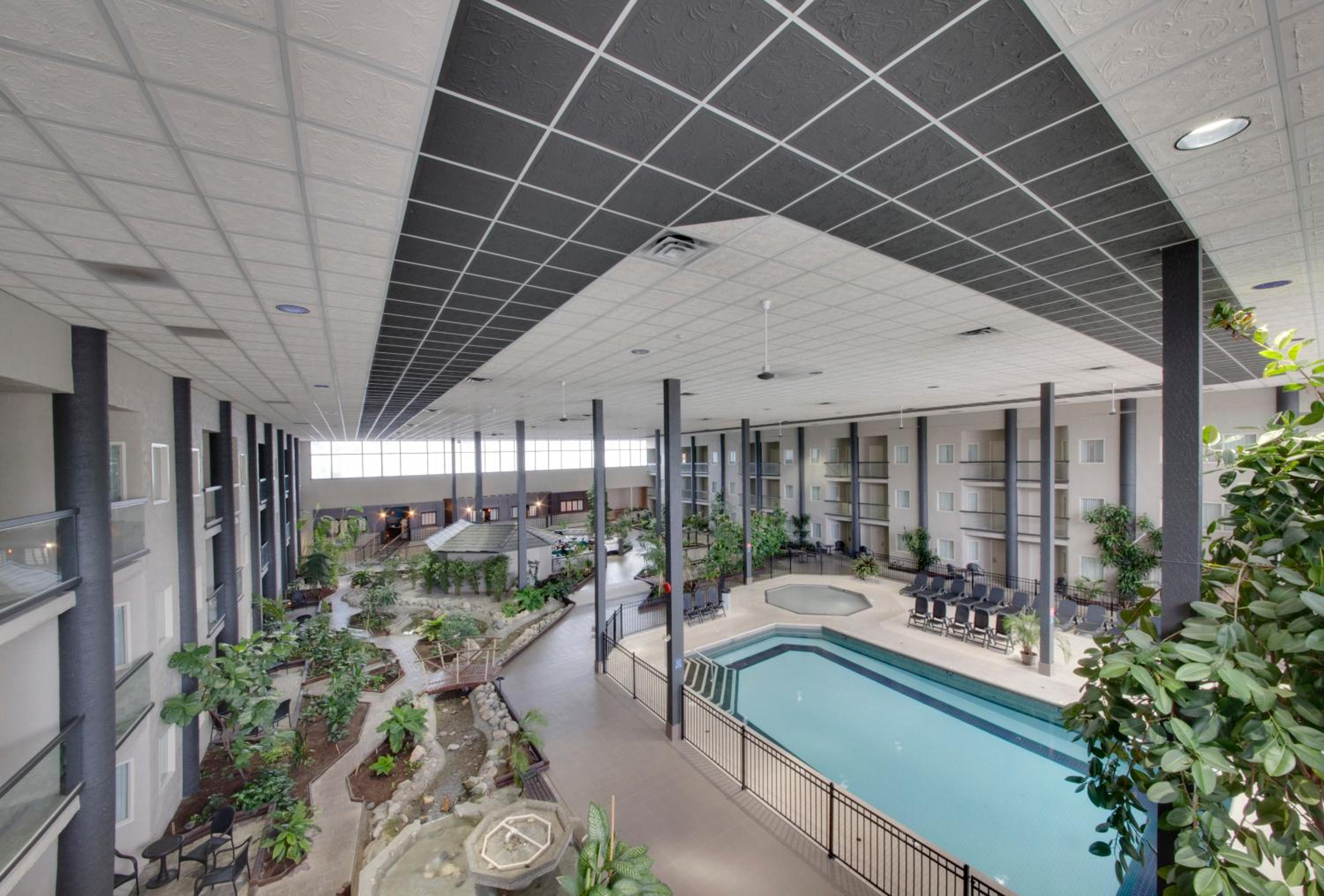Coast Two Queens with Atrium View - Photo 4