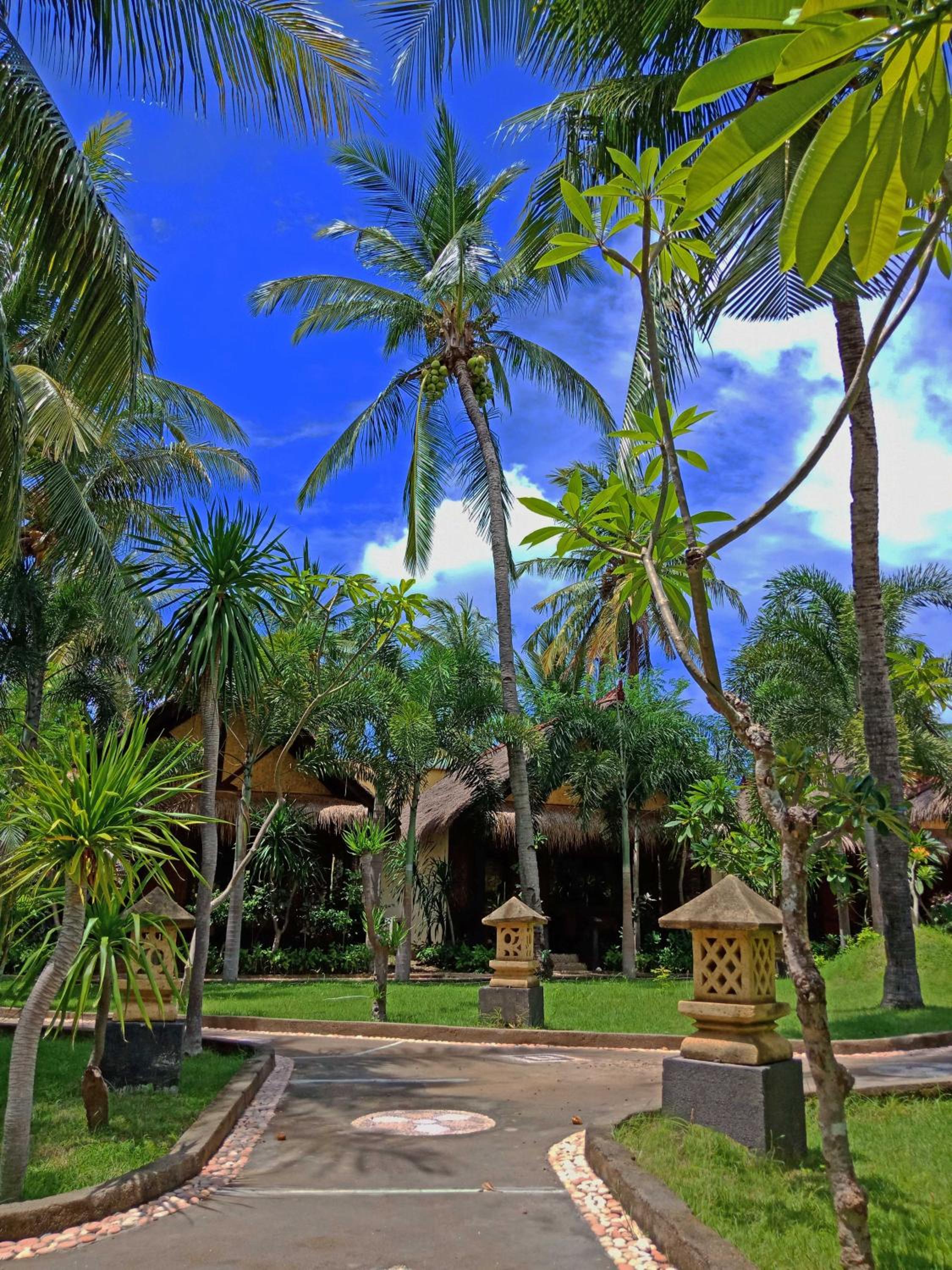 Double Room with Garden View - Photo 7