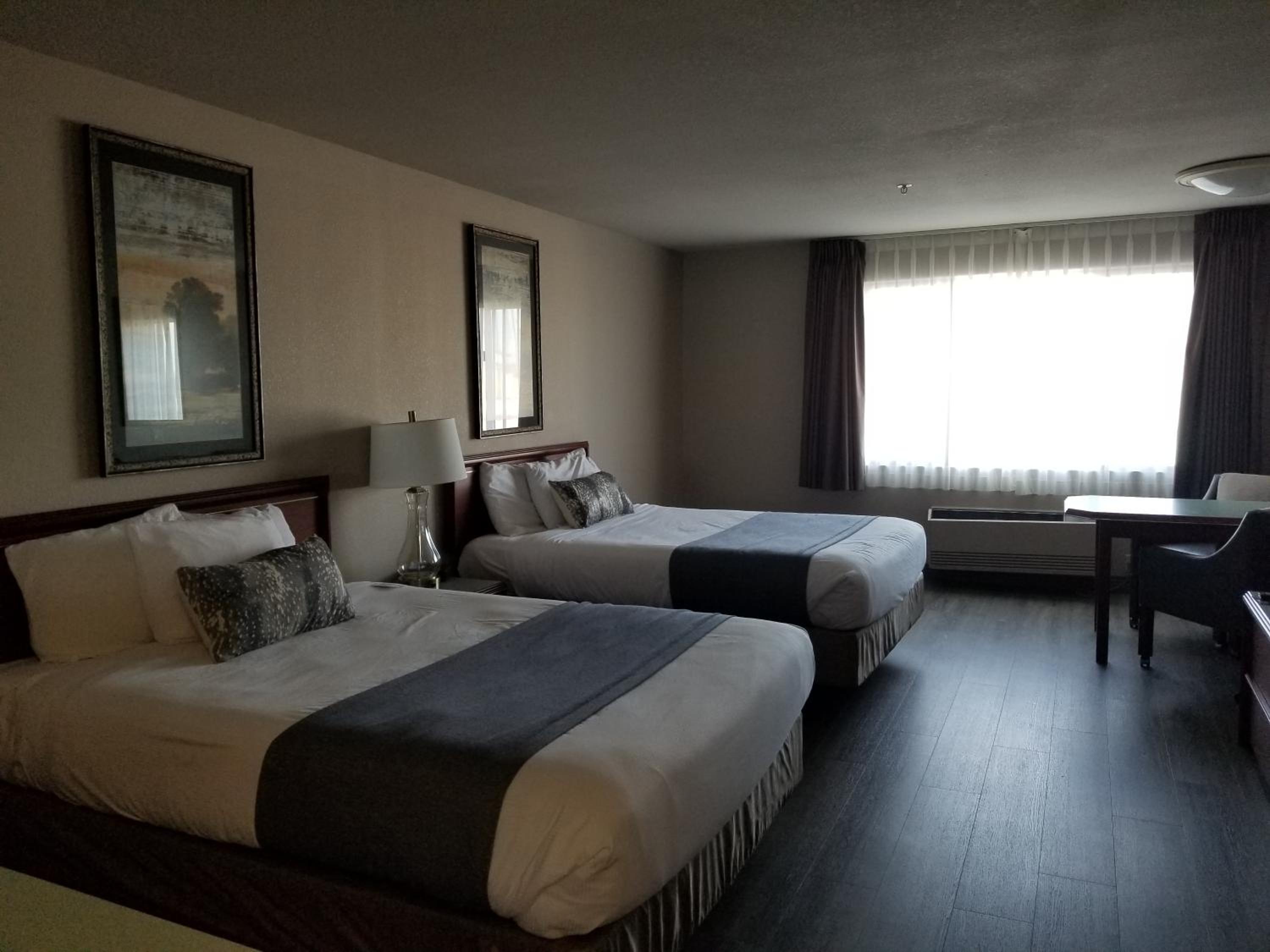 Mini Suite 2 Queen Beds - Photo 6