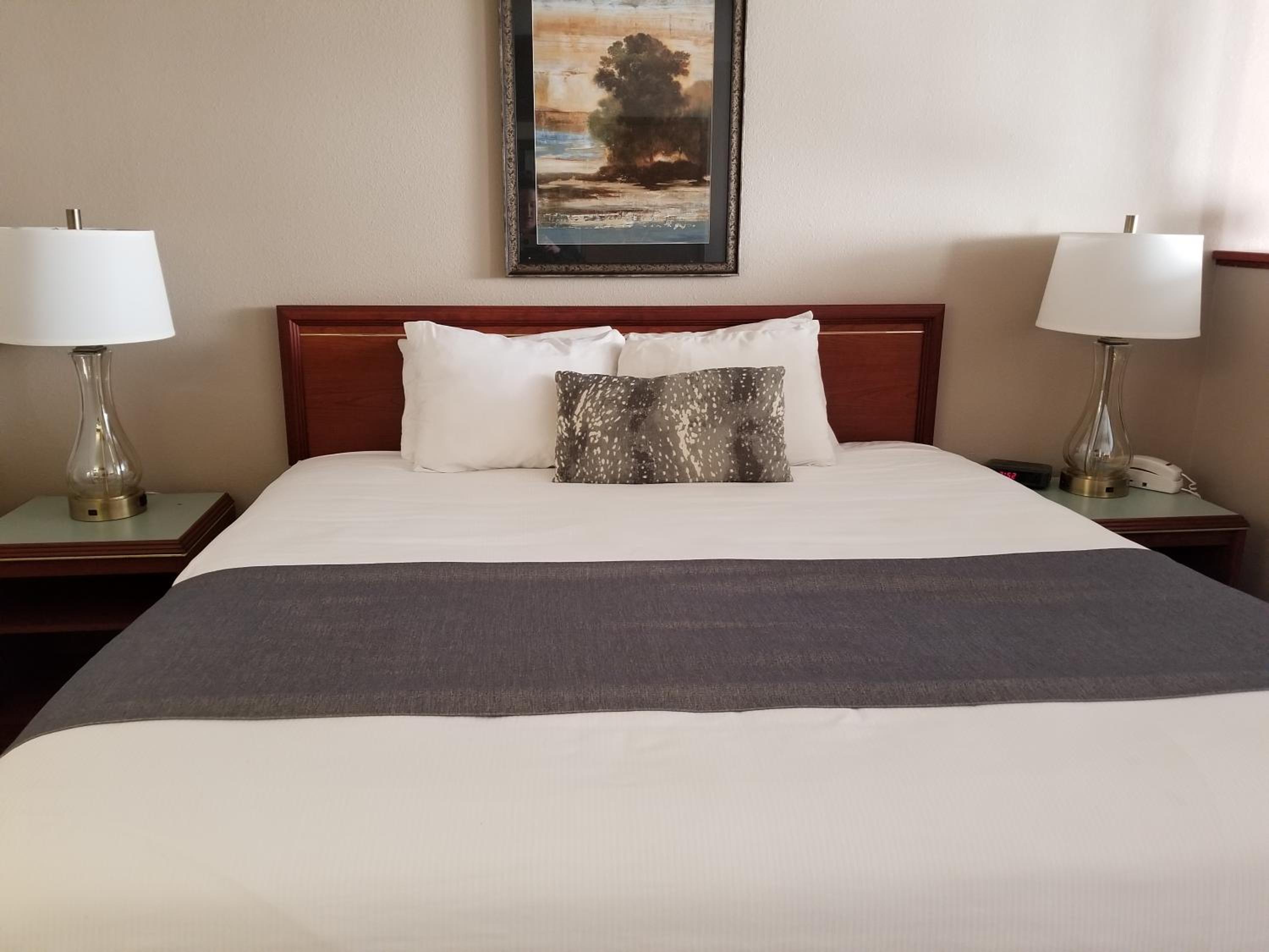Jr Suite King Bed w/Sleeper Sofa - Photo 2
