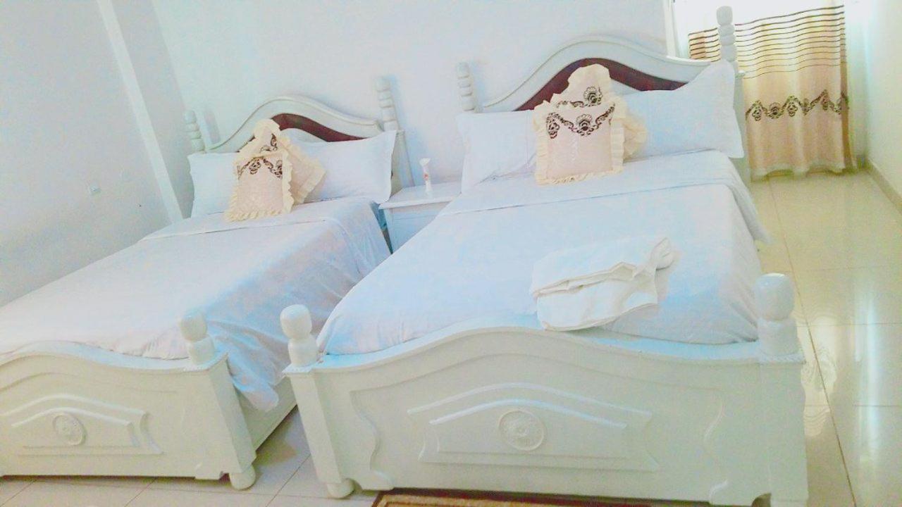 Twin Room photo 2