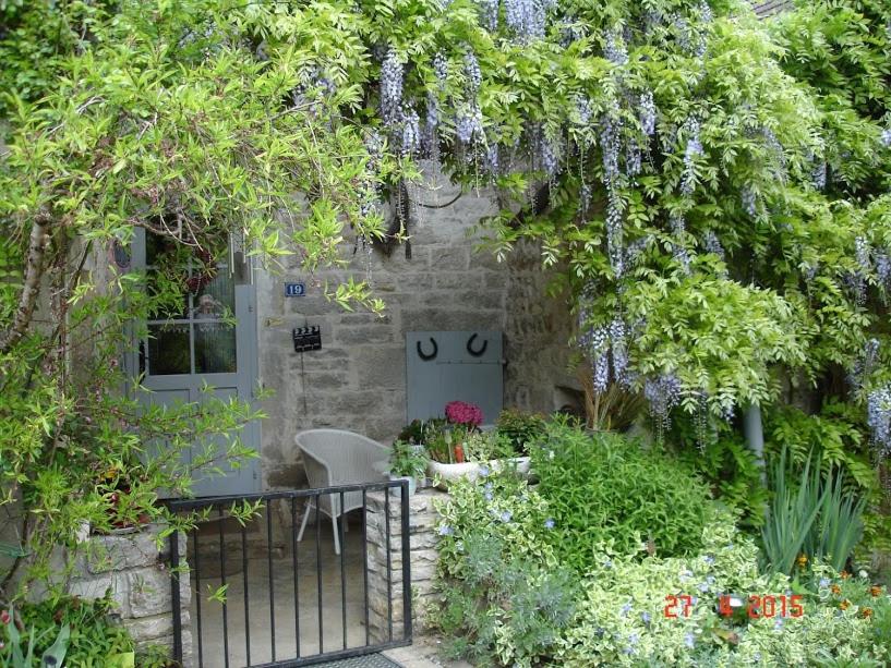 Double Room with Garden View photo 1