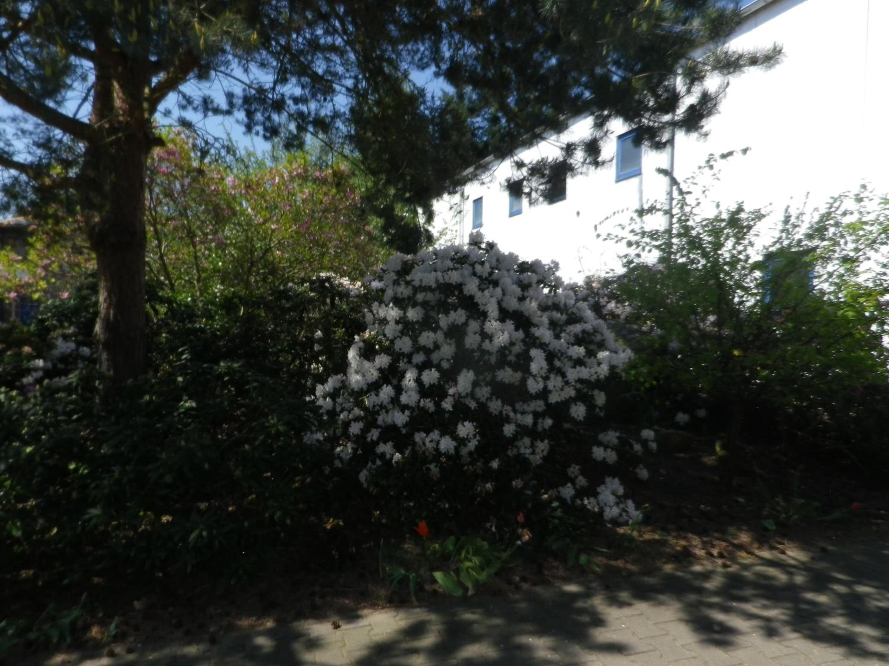 Apartment with Garden View - Photo 15