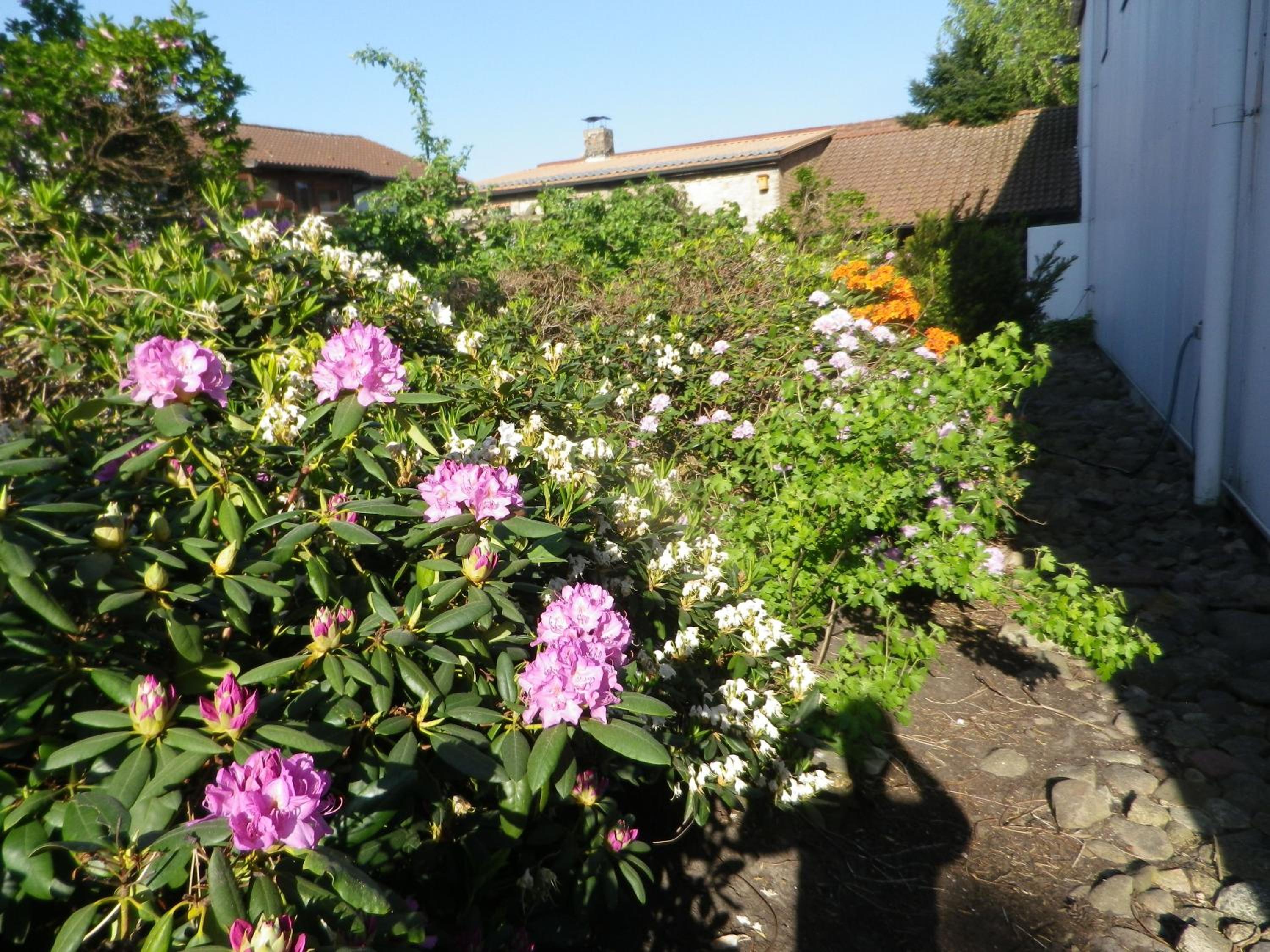 Apartment with Garden View - Photo 9