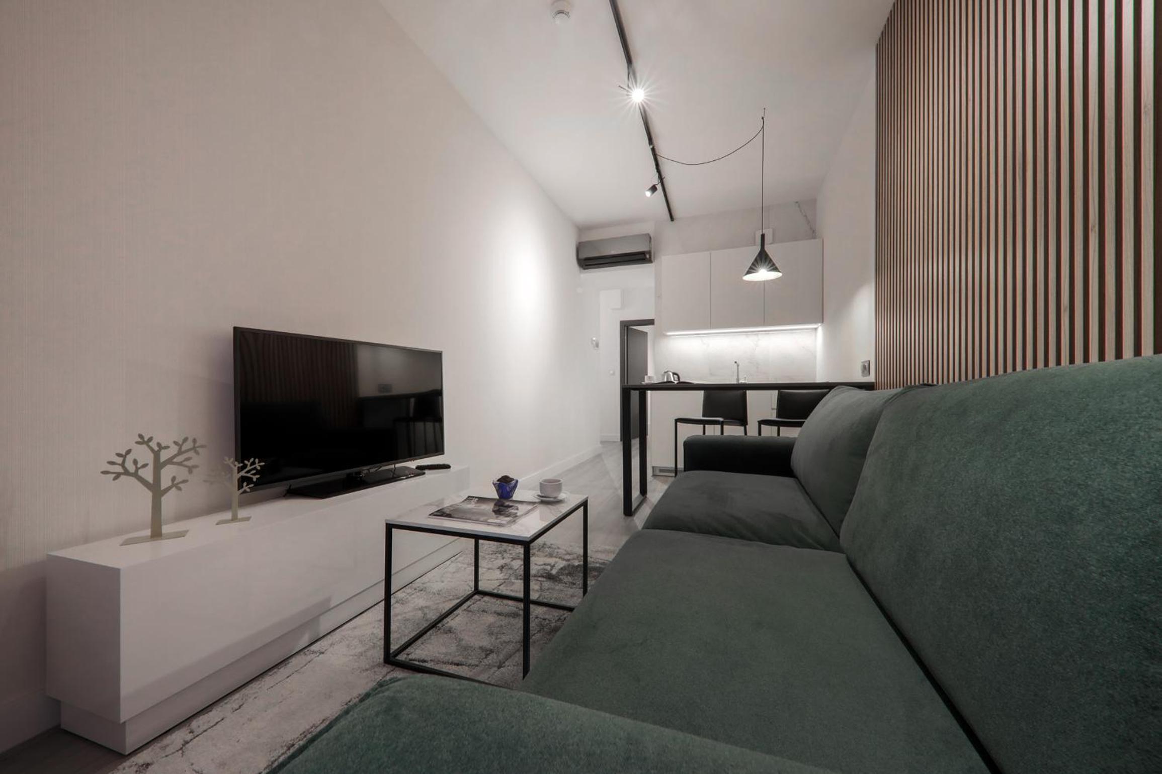 One-Bedroom Comfort Apartment - Photo 7