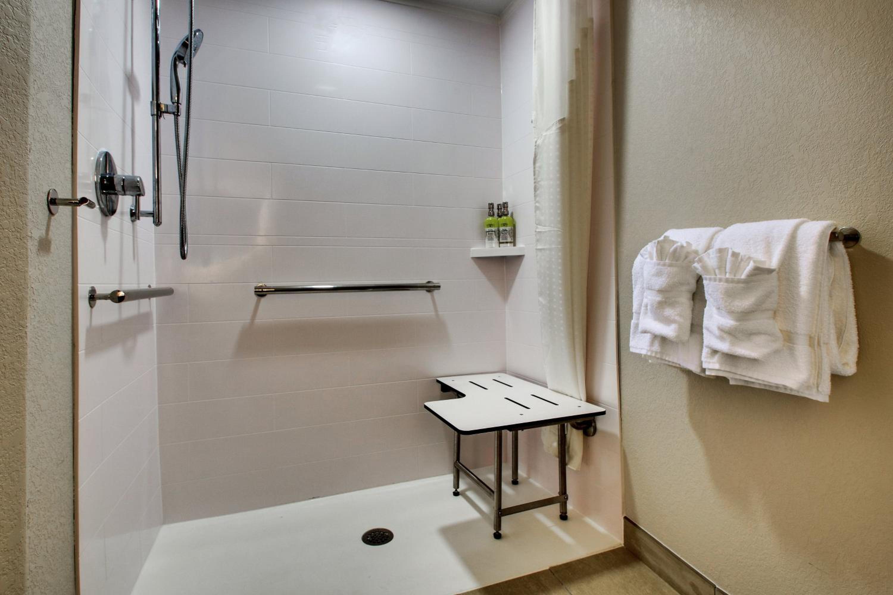 King Room - Hearing Accessible - Roll-in Shower - Photo 2