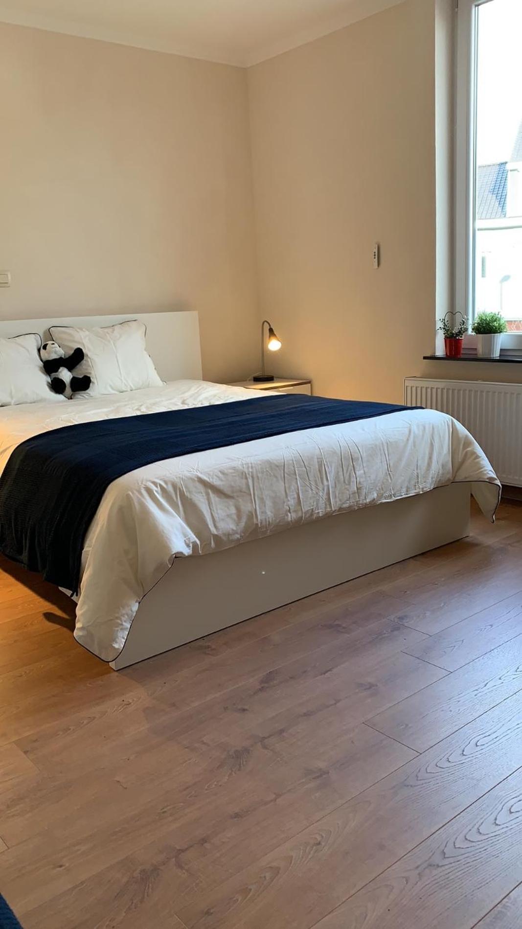 One-Bedroom Apartment - Photo 4
