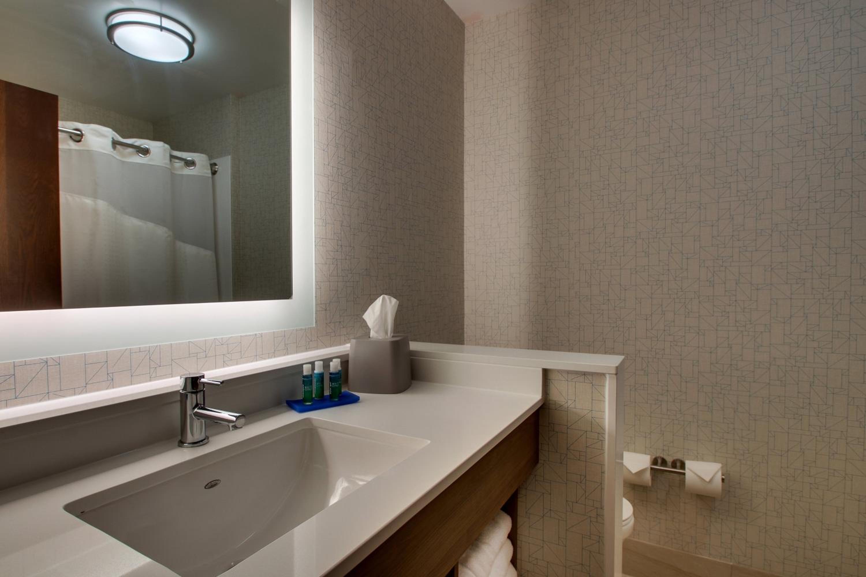 Standard King Room with Roll-in Shower - Mobility Accessible photo 3