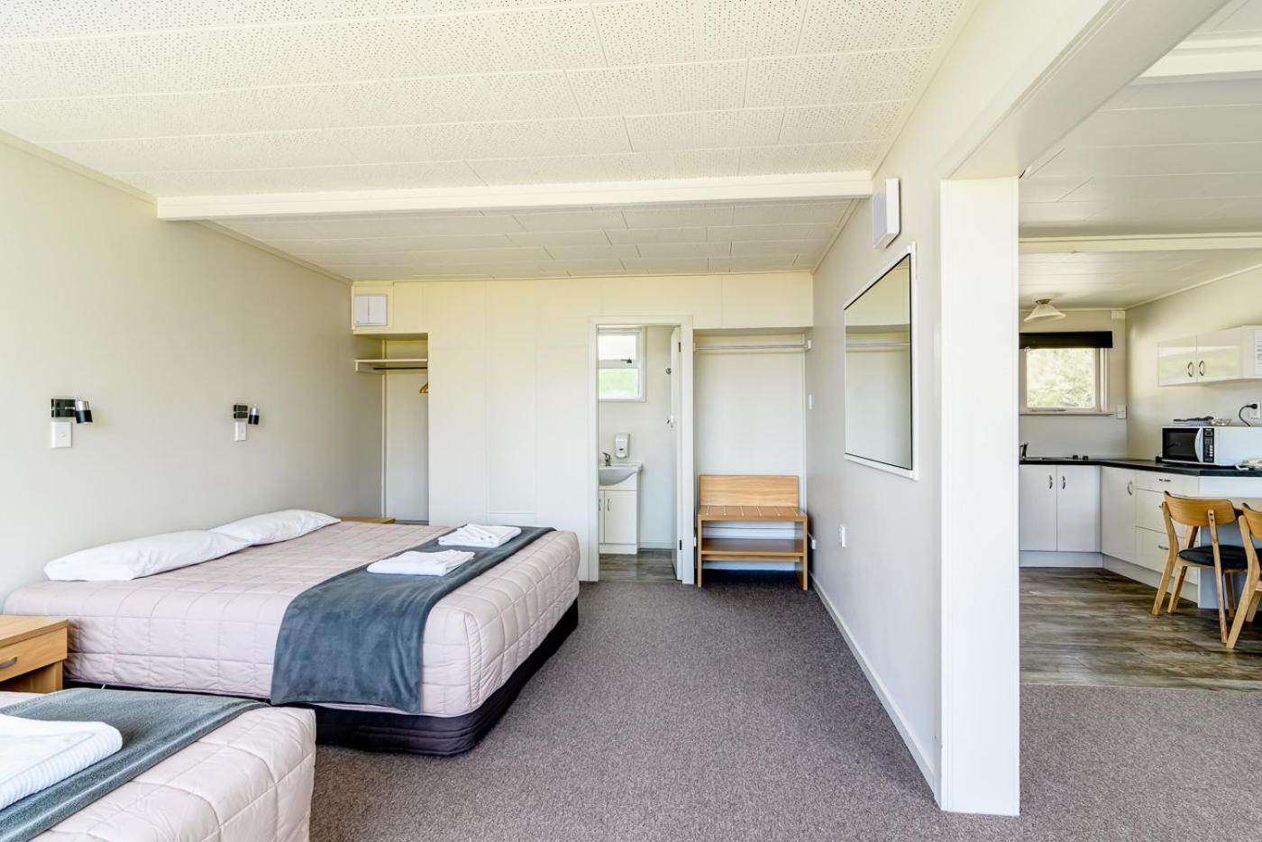 Large One-Bedroom Apartment photo 2