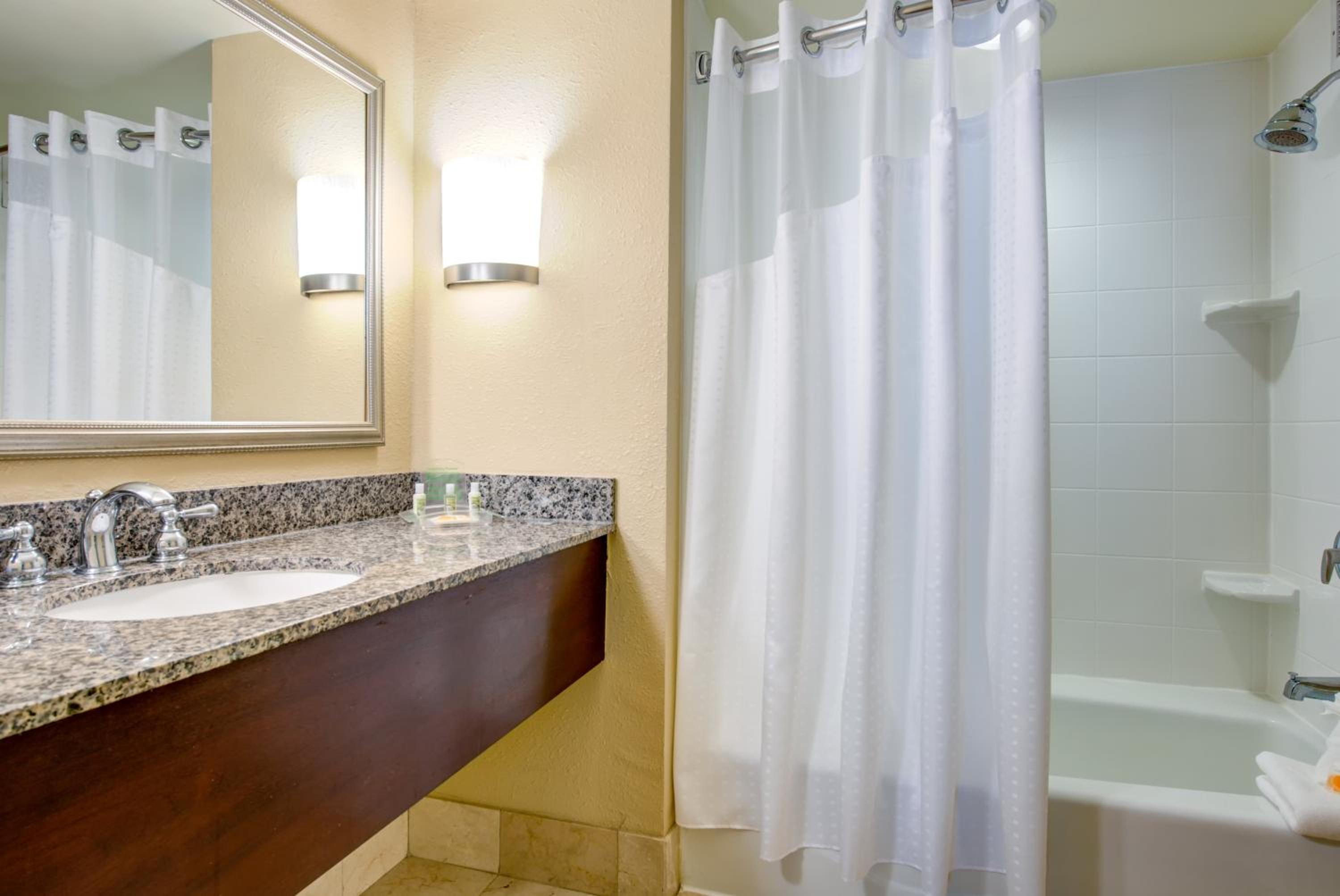 One-Bedroom King Suite - Photo 2
