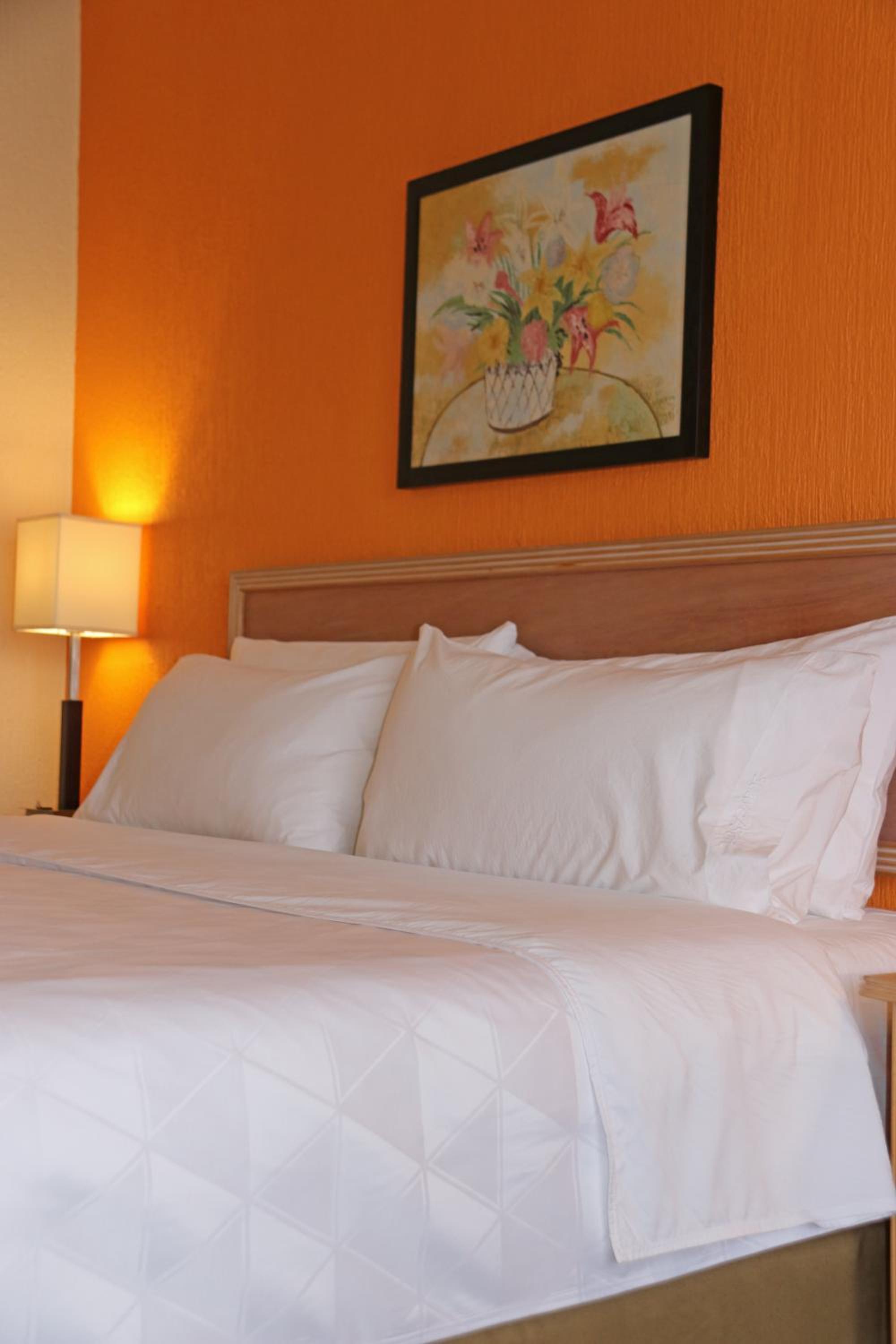 Standard King Room - Photo 6