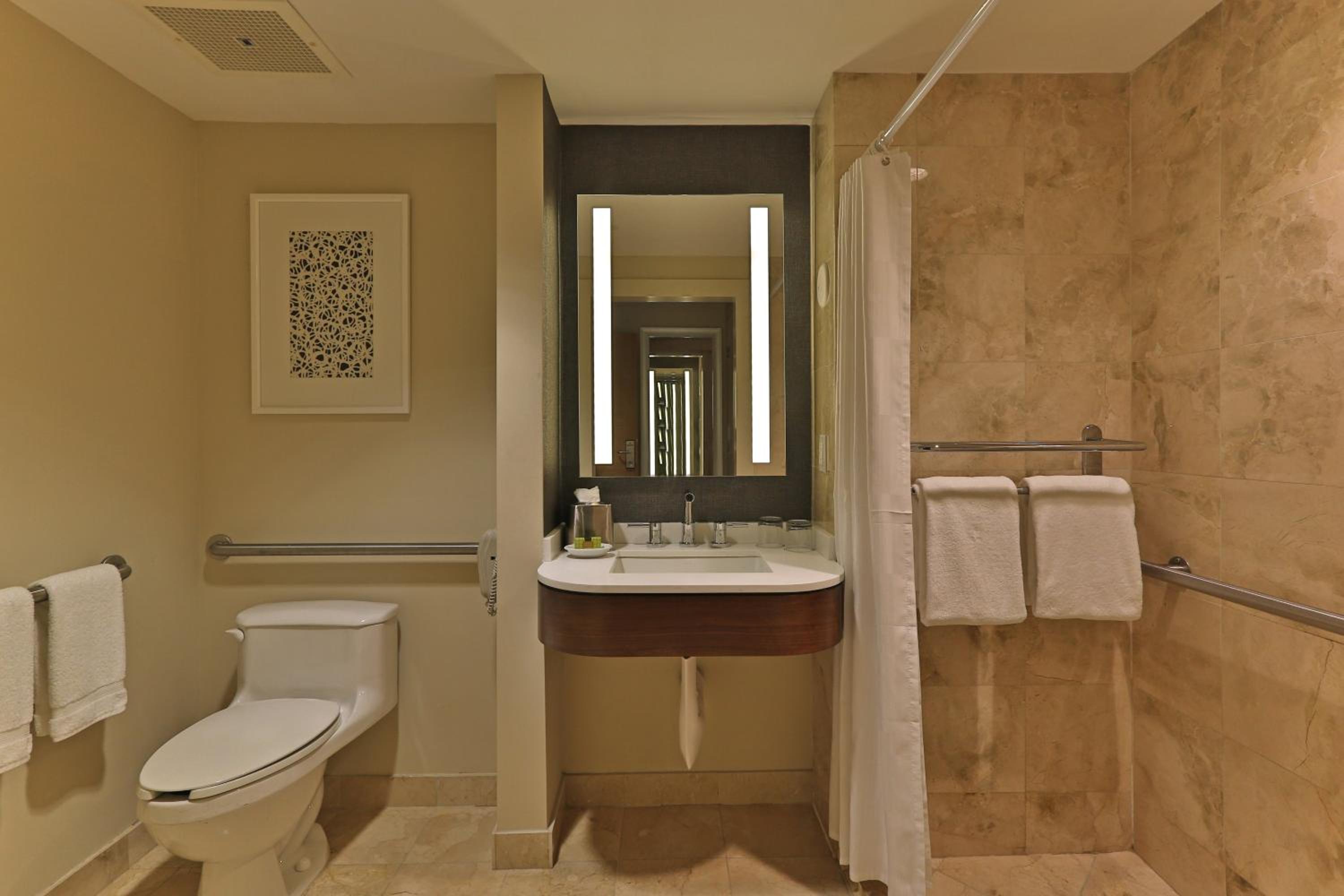 King Room with Accessible Roll in Shower