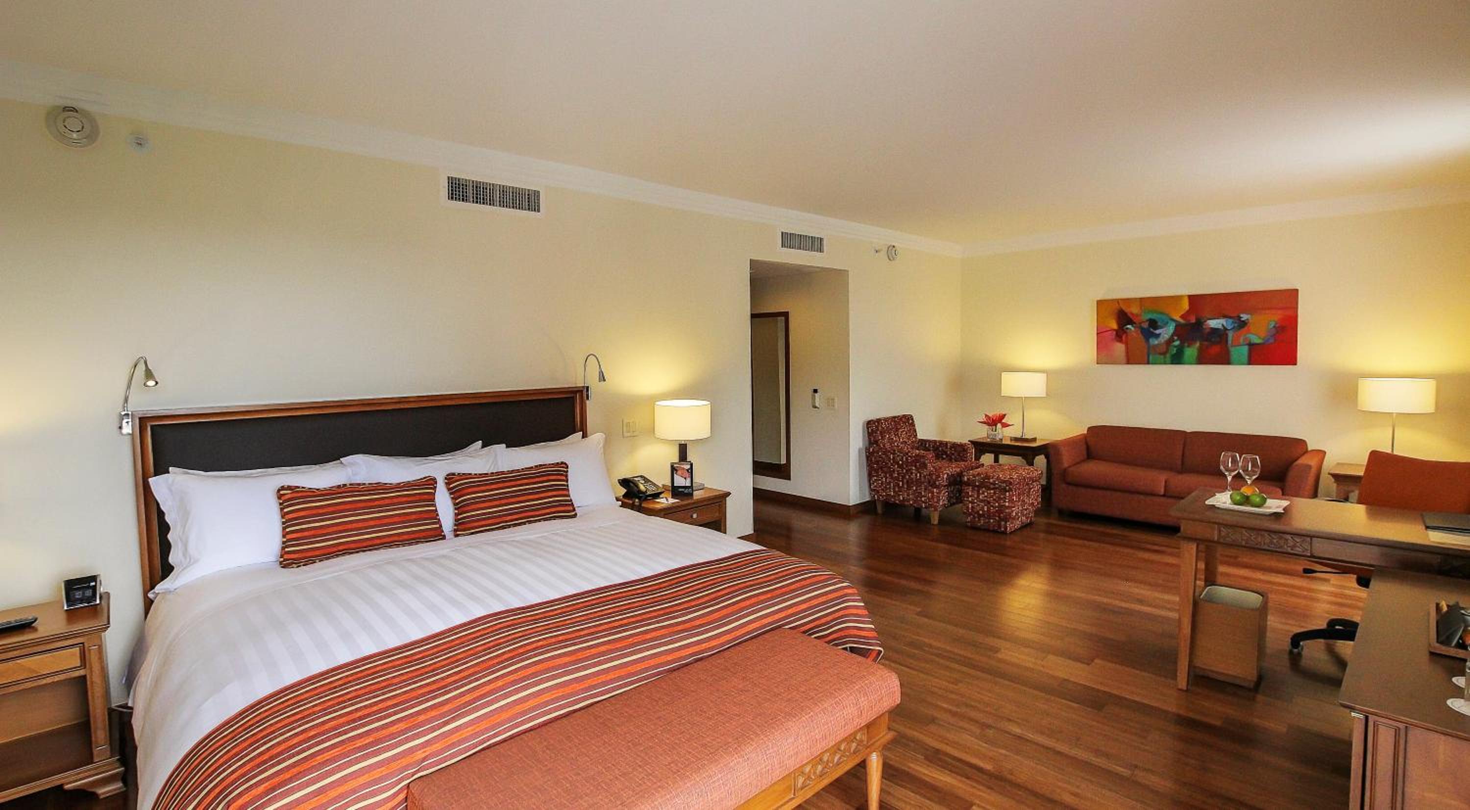 King Suite - Photo 4