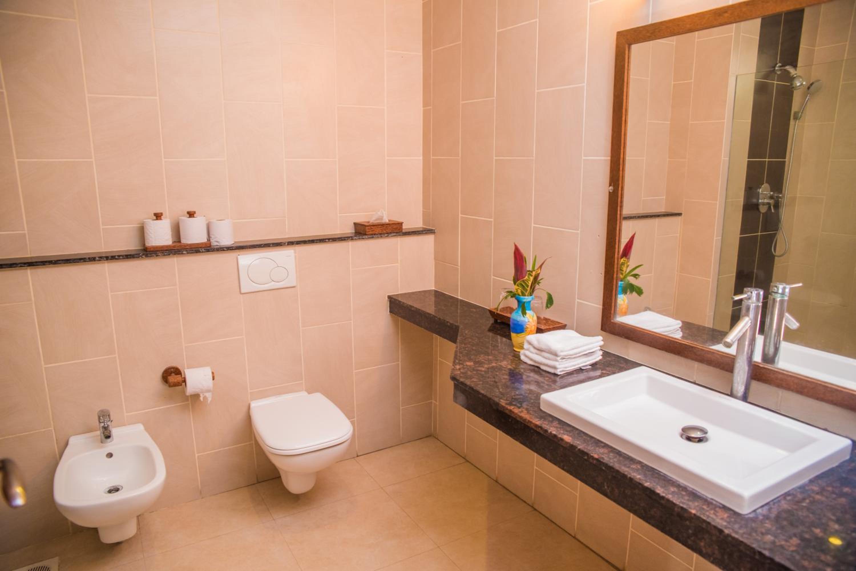 Deluxe Double or Twin Room photo 3