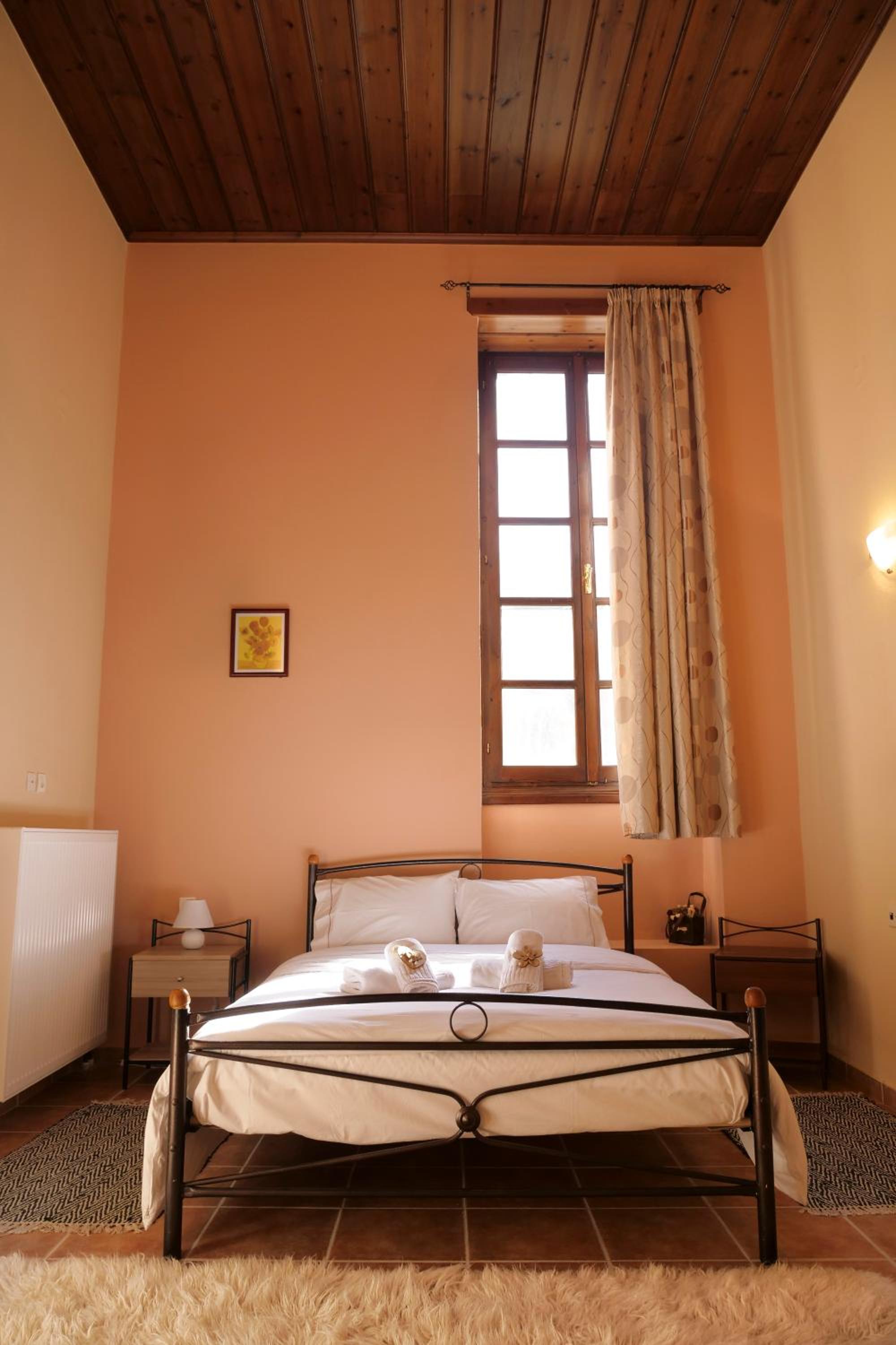 Double Room with Mountain View photo 1