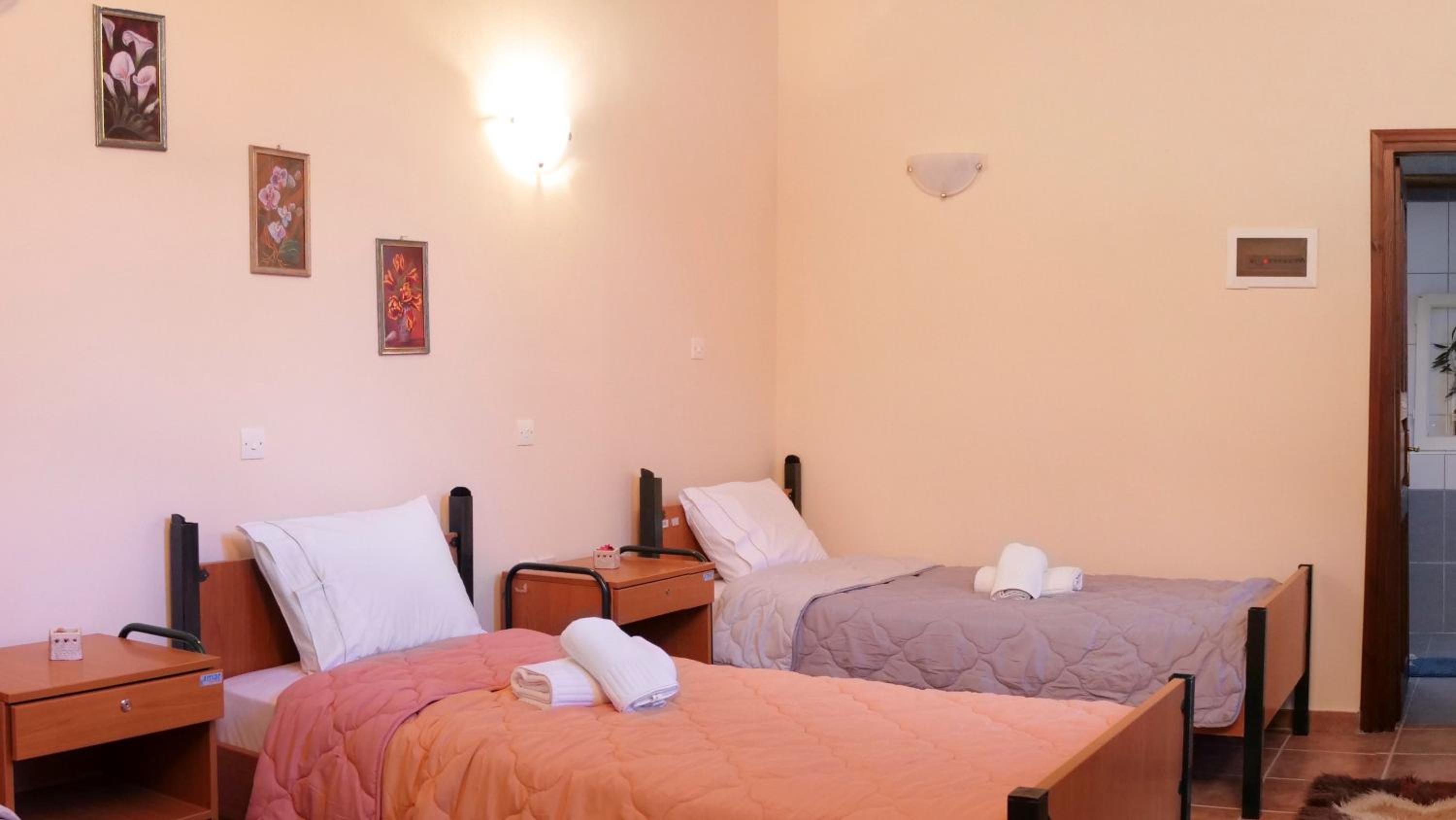 Double or Twin Room with Mountain View photo 3
