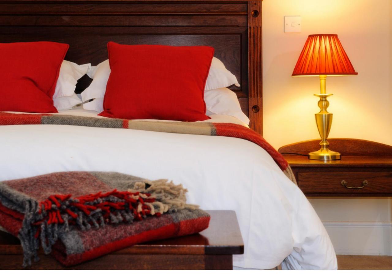 Superior Single Room photo 1