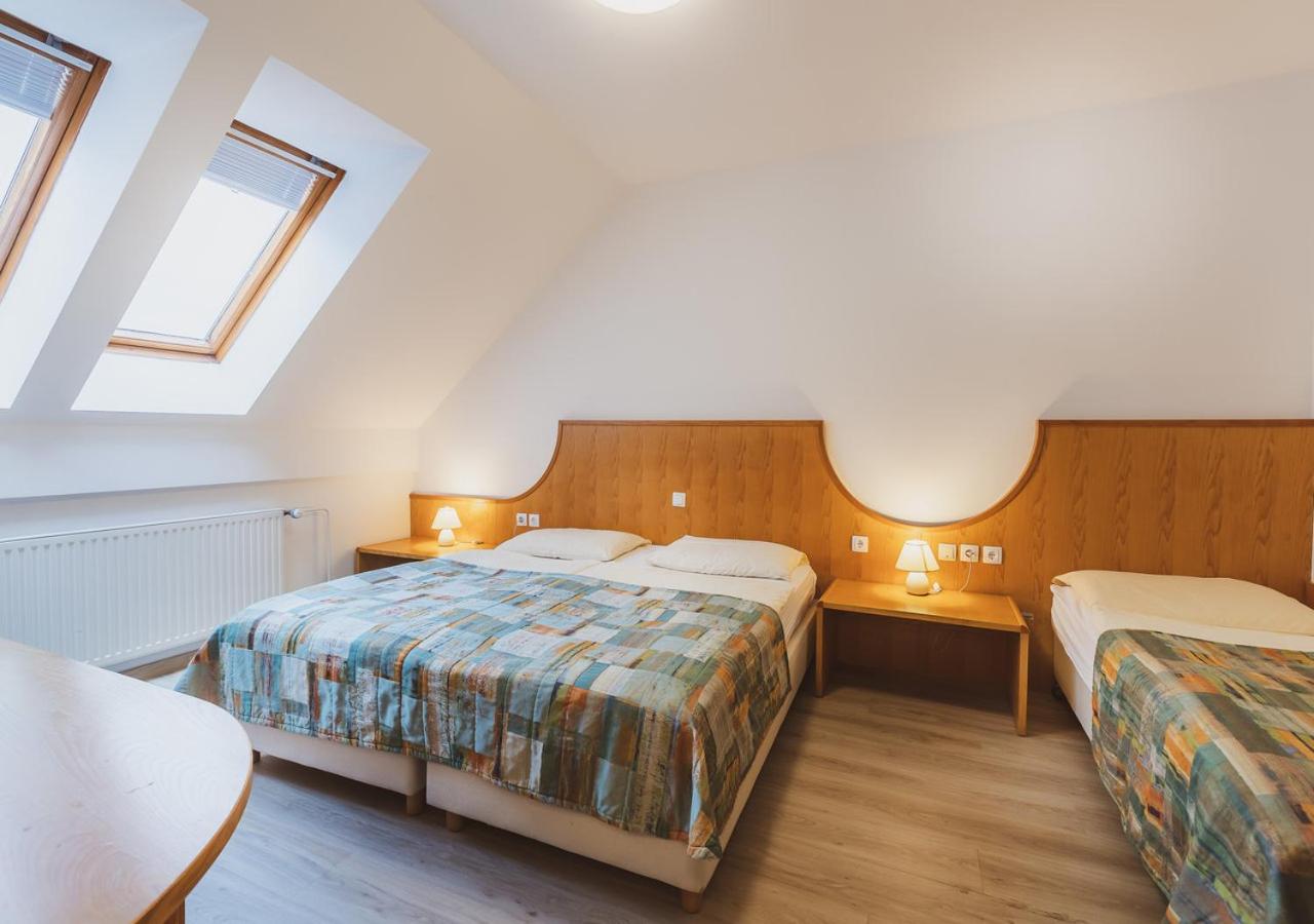 Limited Offer - One-Bedroom Apartment with Ski Pass photo 2
