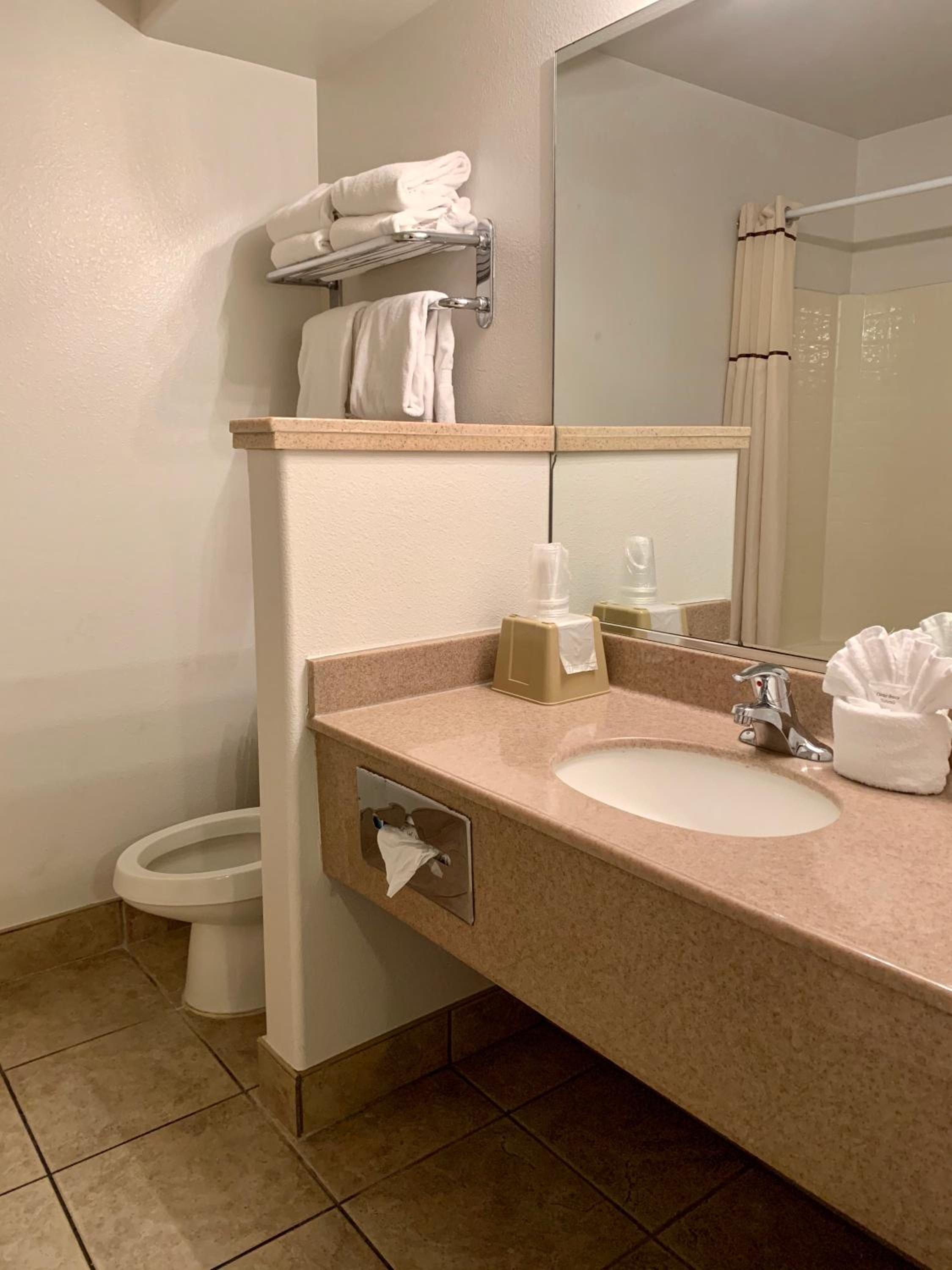 Family Suite photo 3