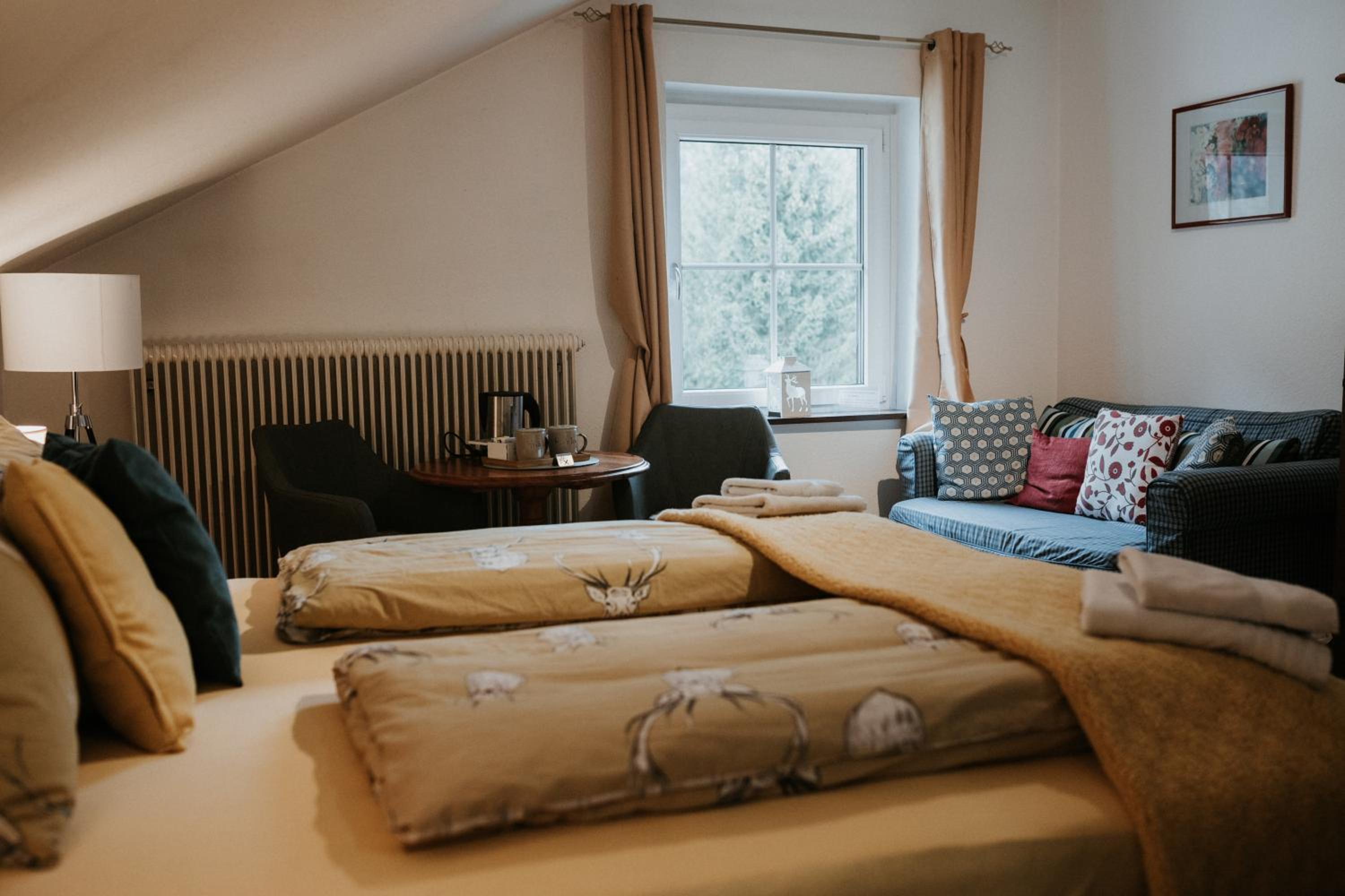 Double Room with Mountain View