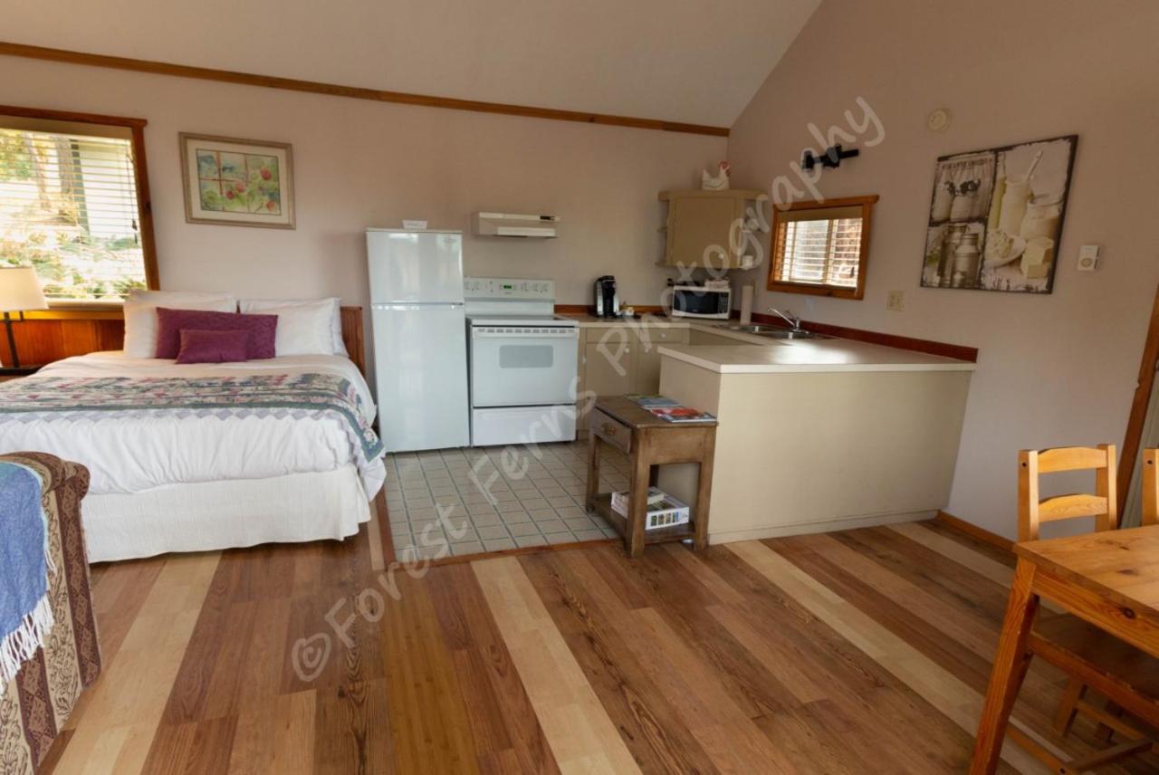 Cottage photo 3