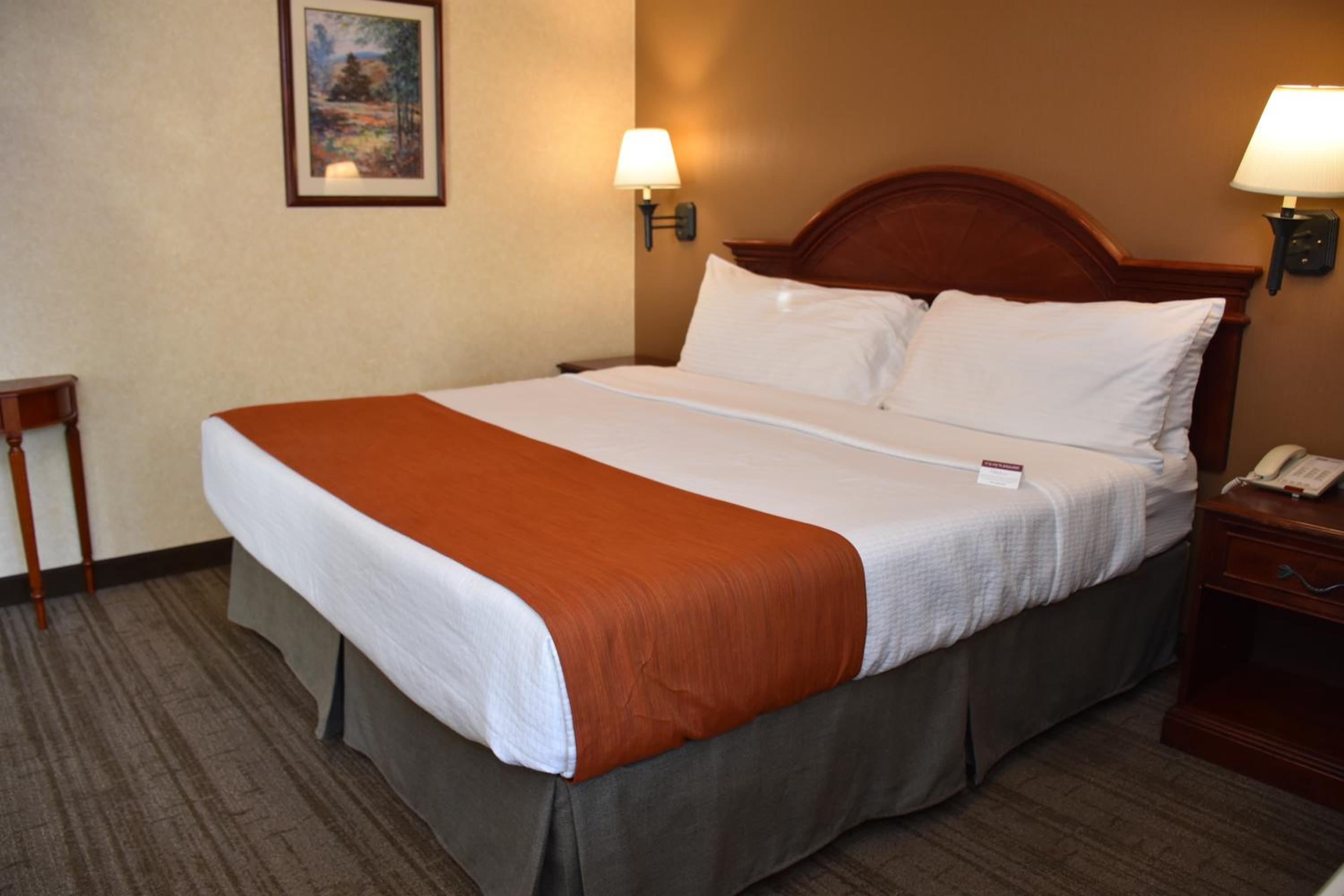 Presidential Suite photo 1