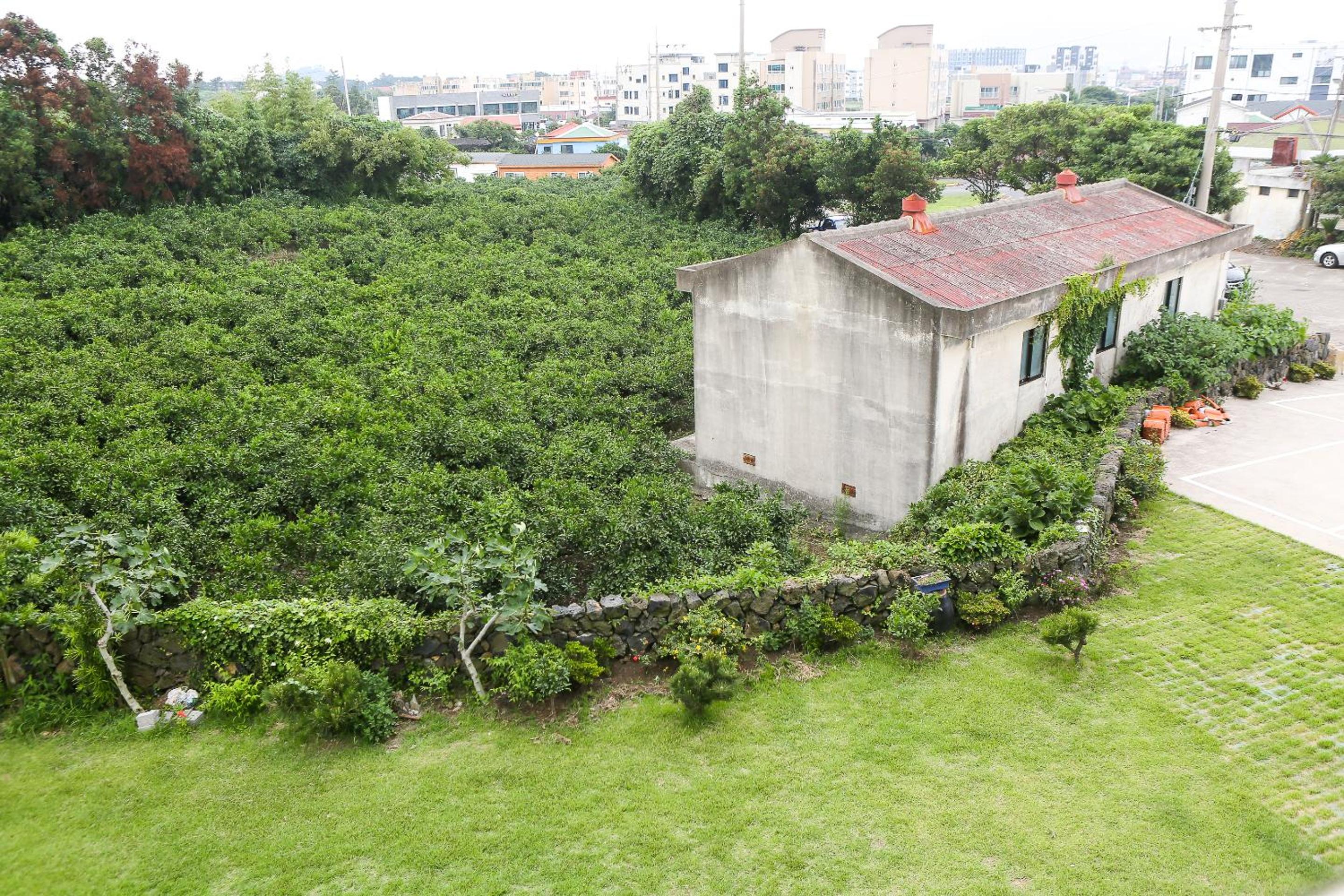 Standard Studio - Photo 3
