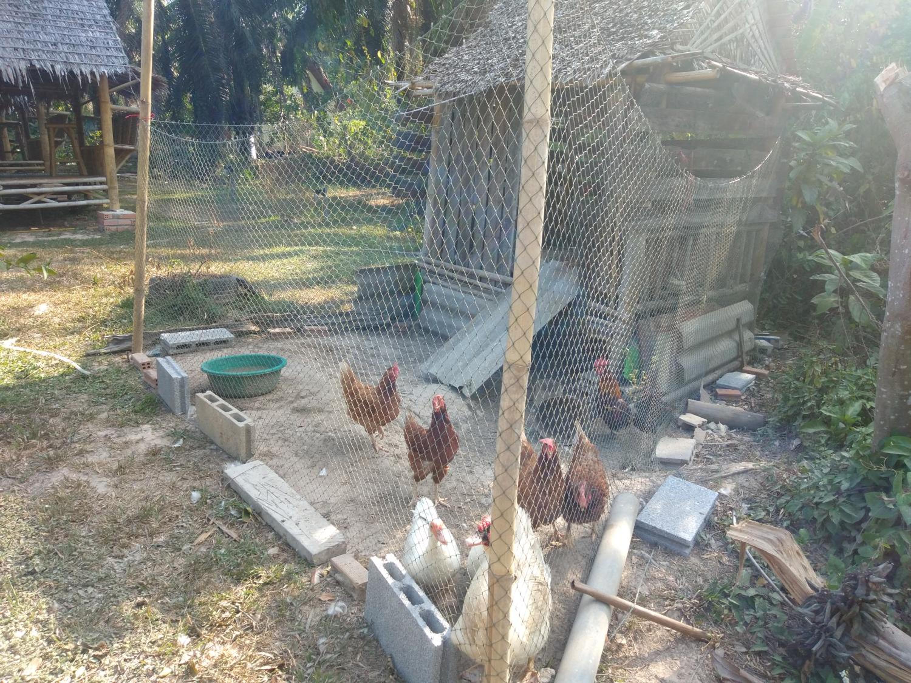Bungalow with Fan - Photo 32