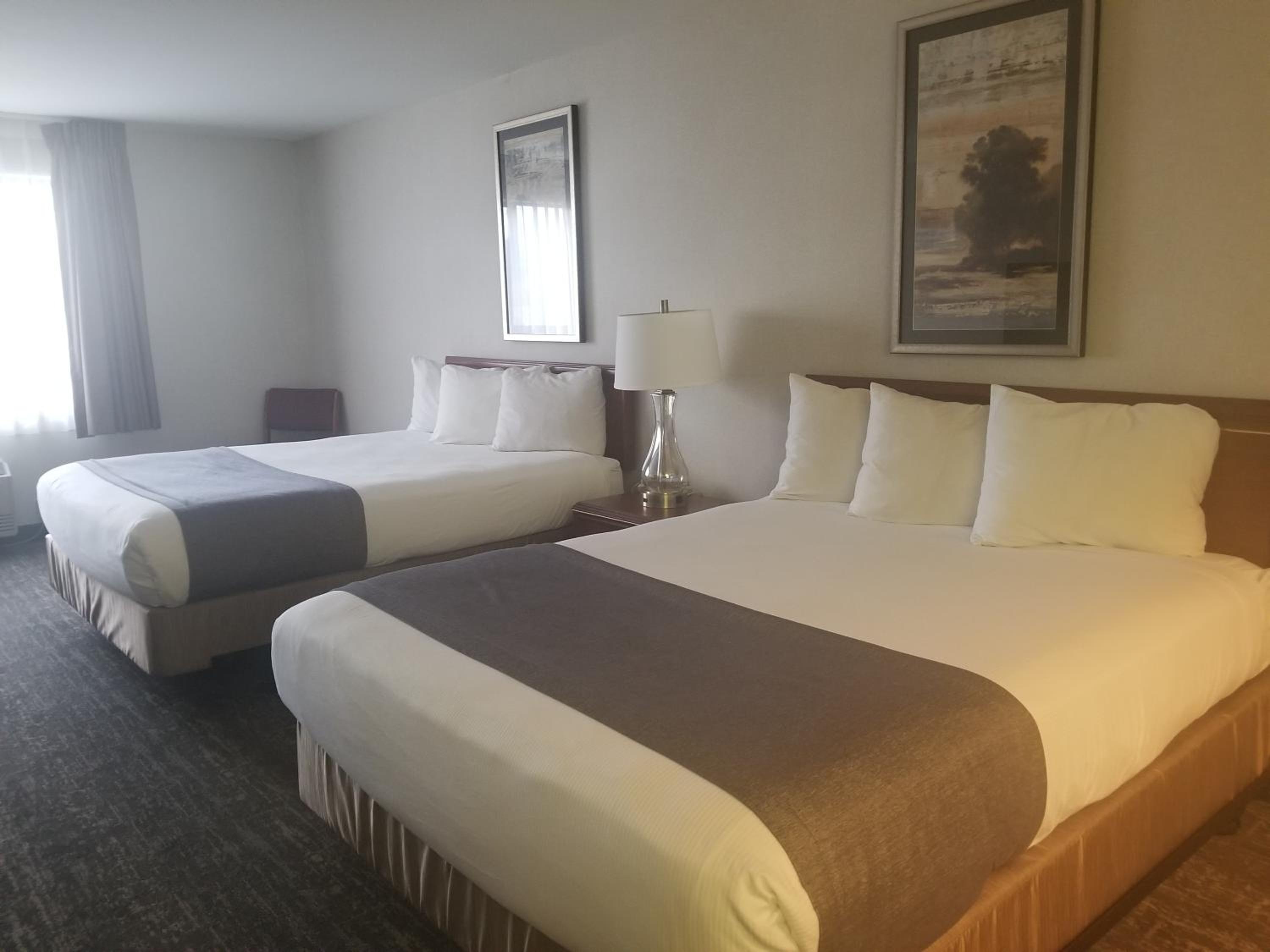 Mini Suite 2 Queen Beds - Photo 1