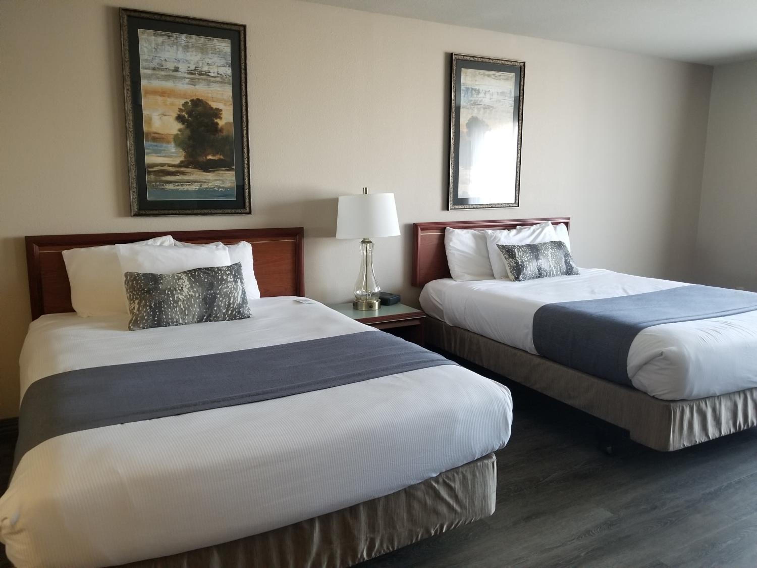 Mini Suite 2 Queen Beds - Photo 3
