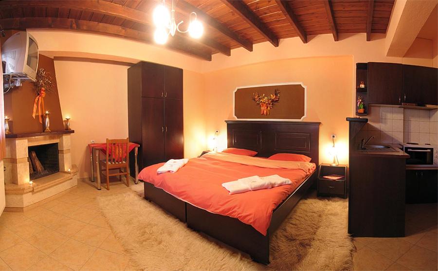 Studio with Fireplace (2 Adults)