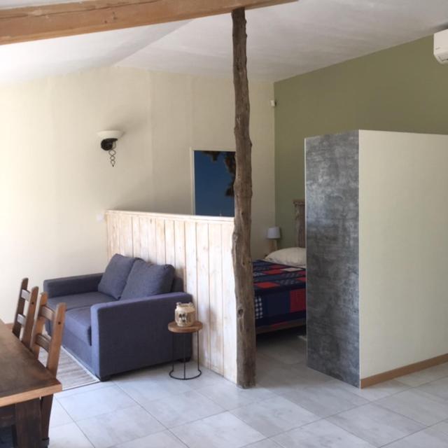 Studio with Terrace photo 3