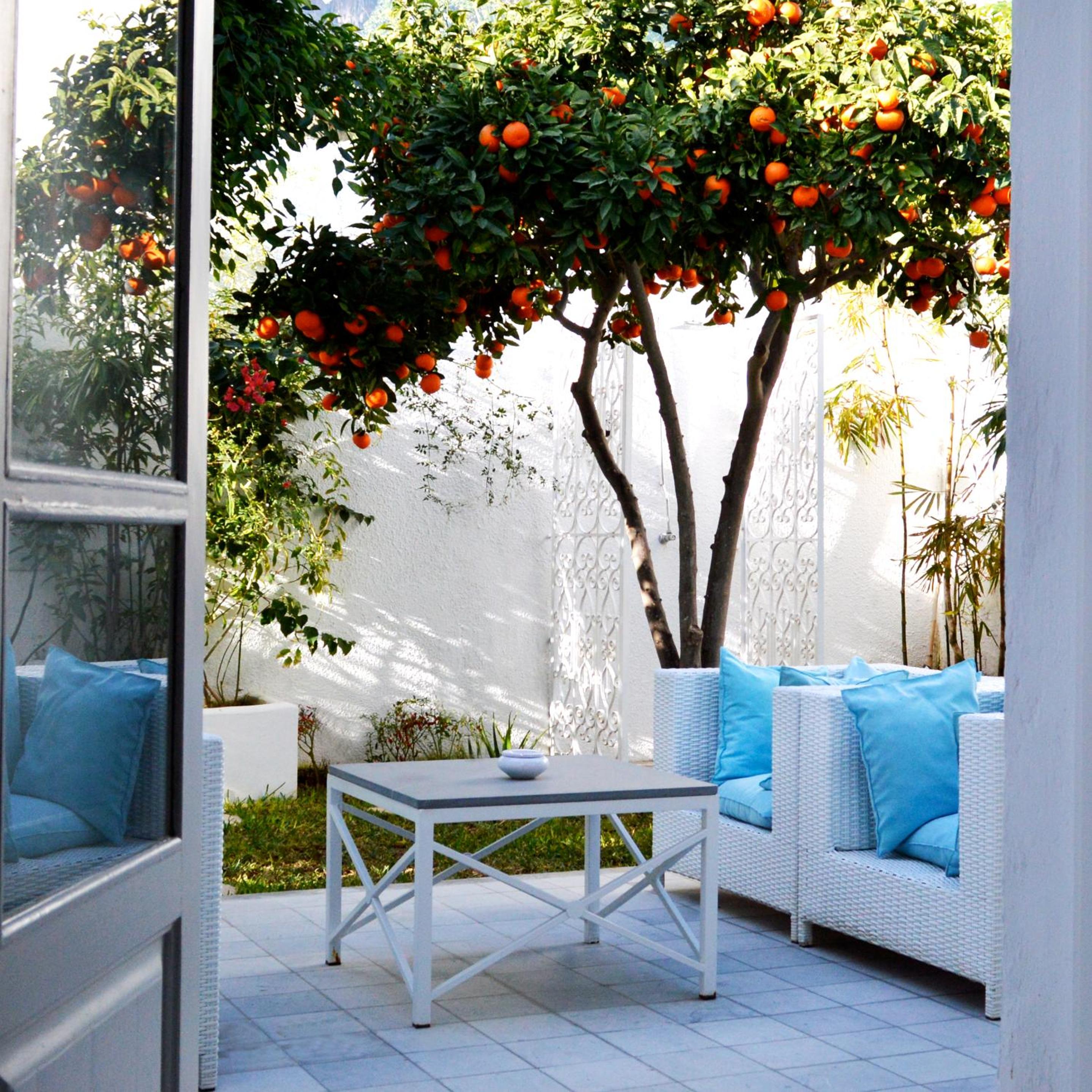 Junior Suite with Private Pool