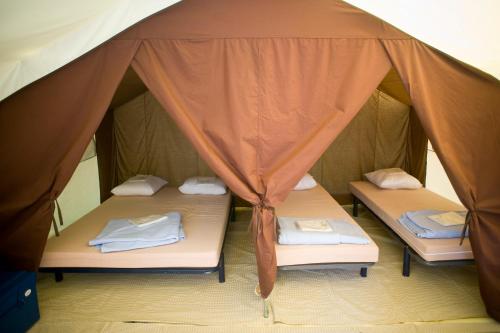 Tent photo 2