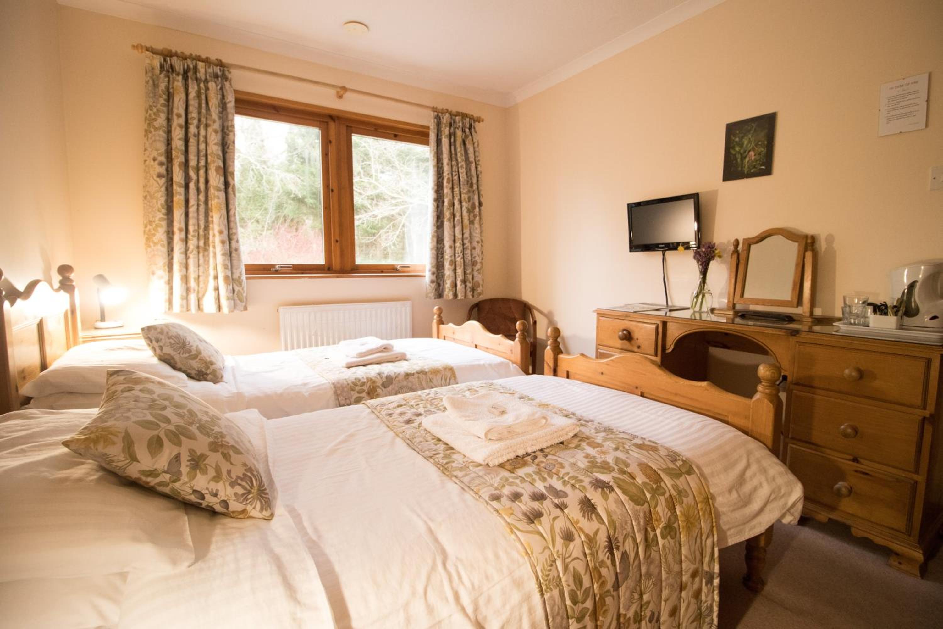 Twin Room photo 1
