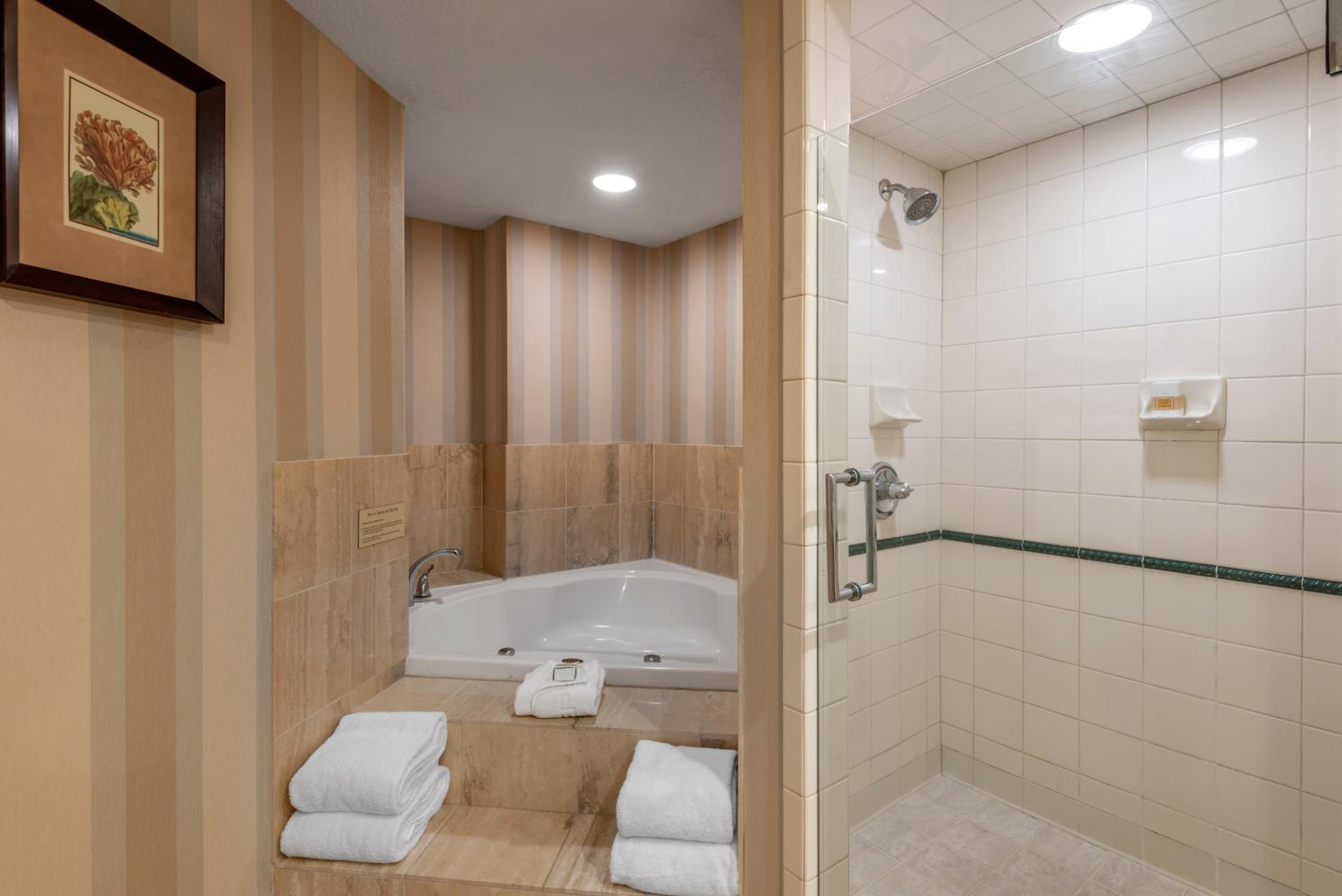 Luxury Ocean View Egret Presidential Suite – 1 King Bed photo 2