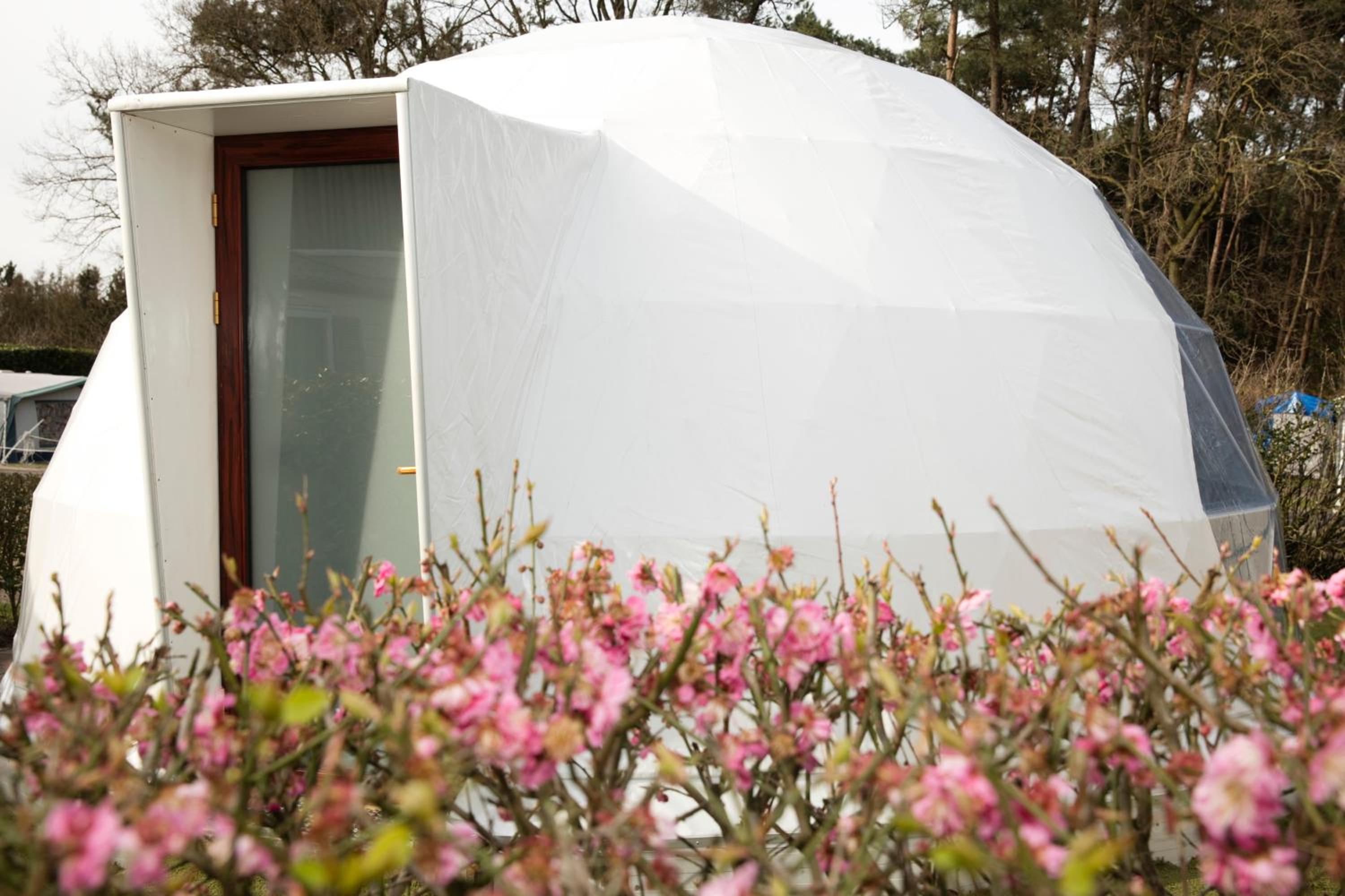 Deluxe Double Igloo with Shower photo 2
