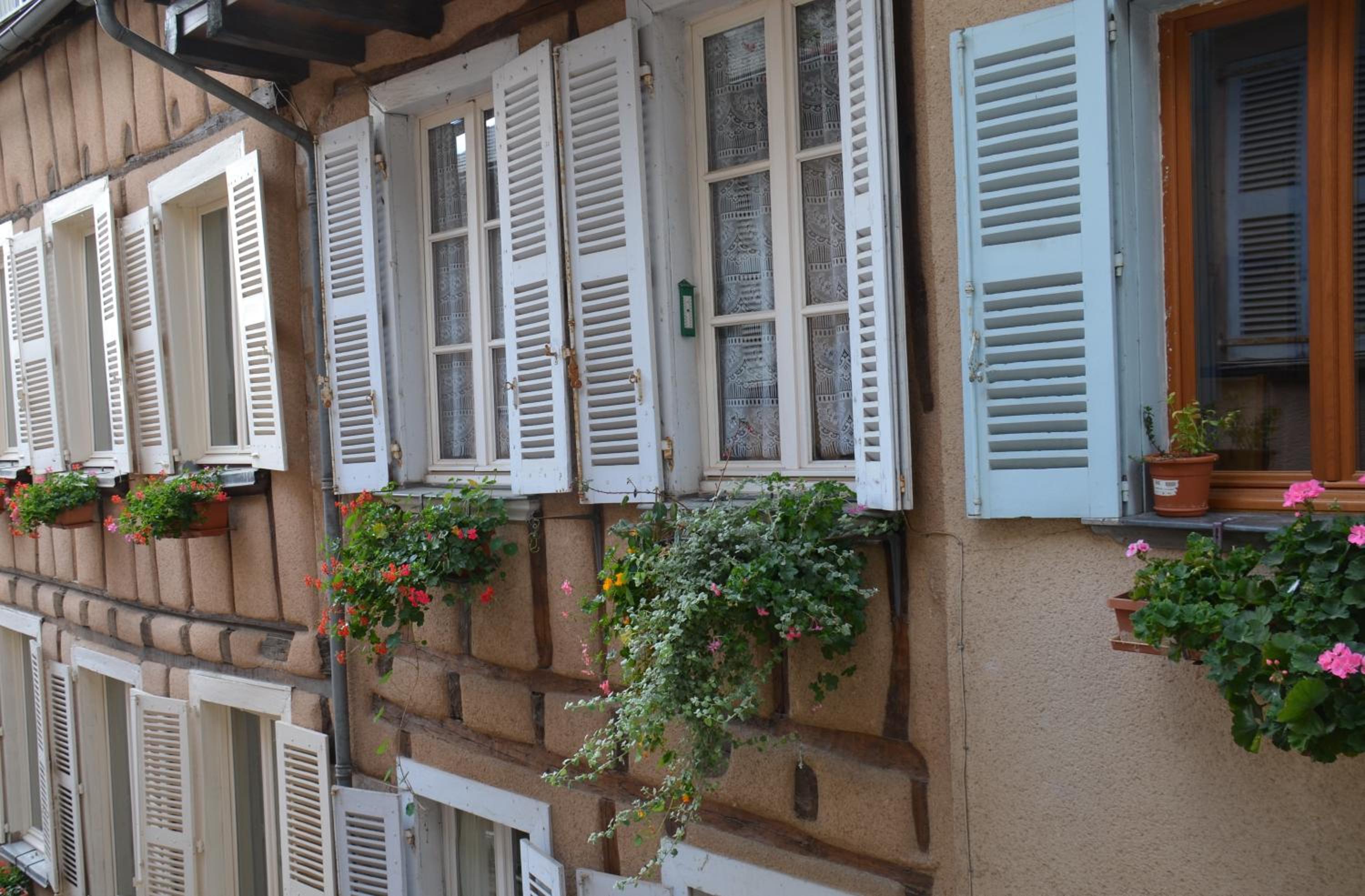 Apartment - Photo 24