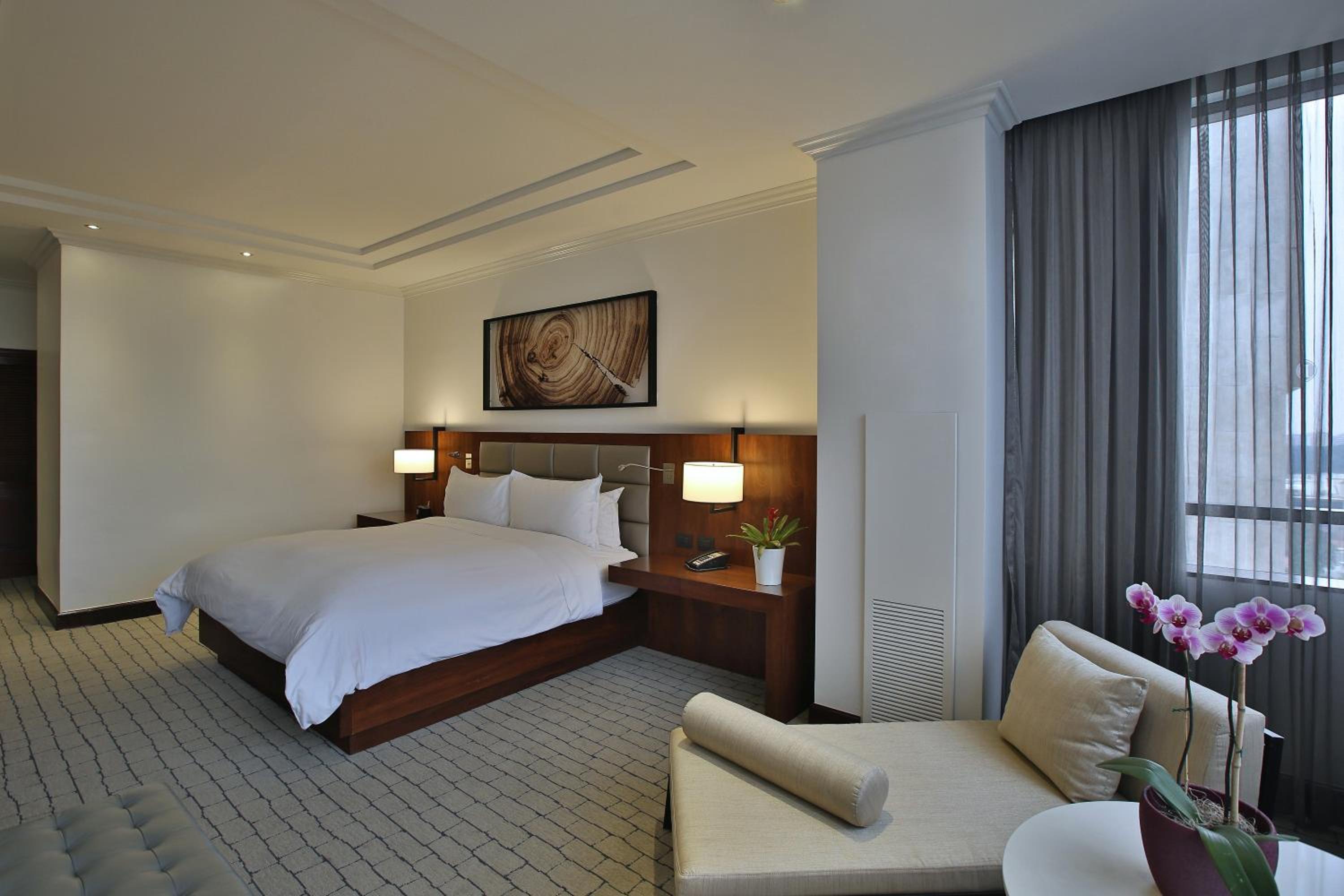 Classic King Room - Photo 11
