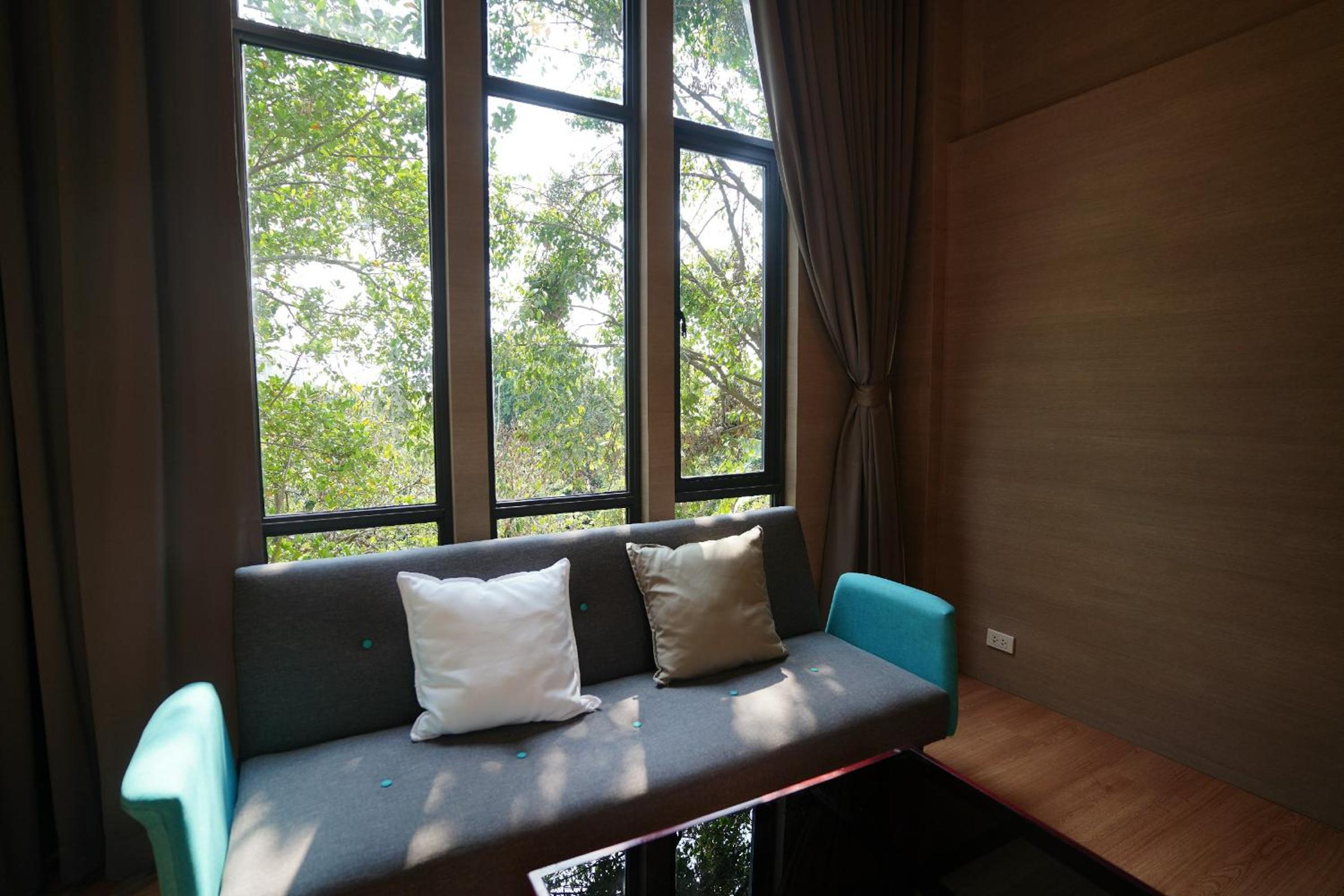 Deluxe Double or Twin Room - Photo 15