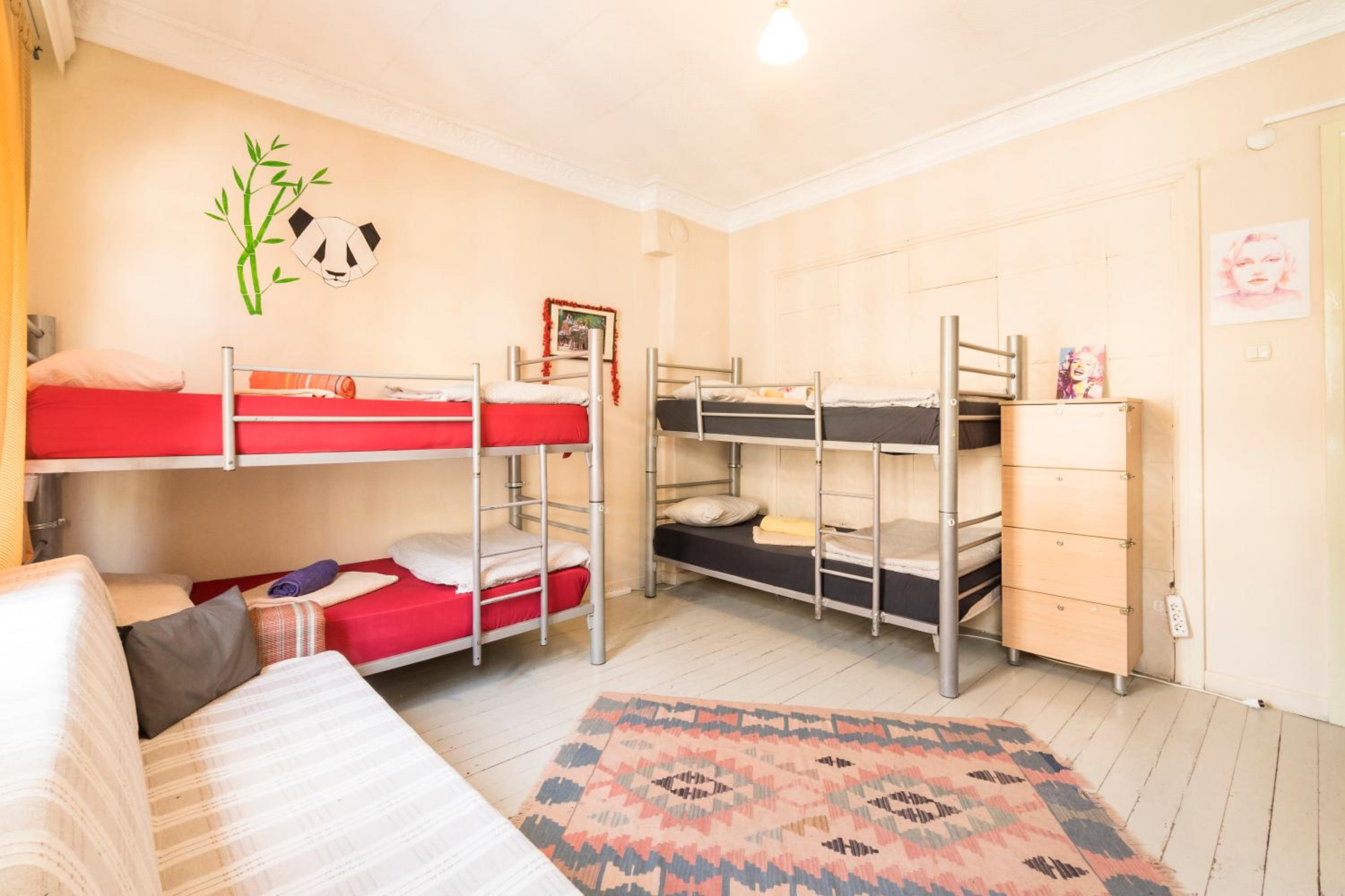 Single Bed In Mixed Dormitory Room photo 1