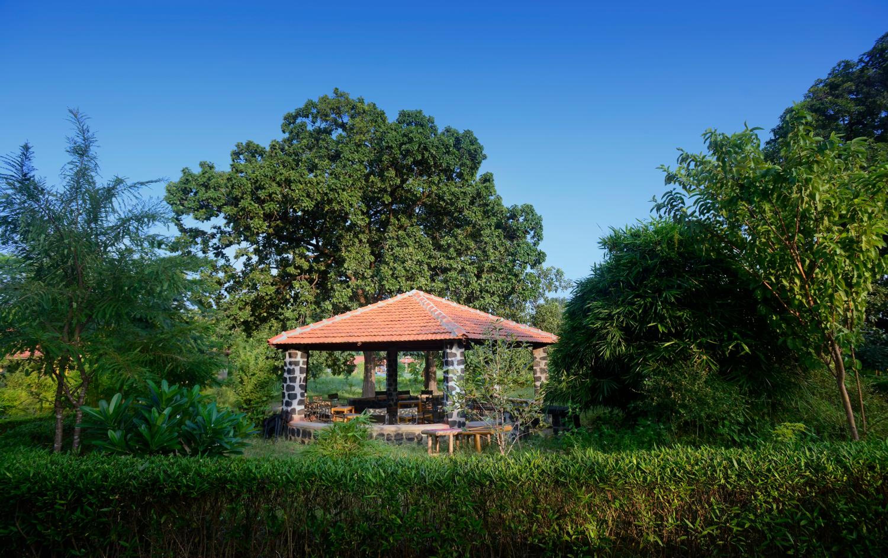 Premium Double Cottage - Photo 20