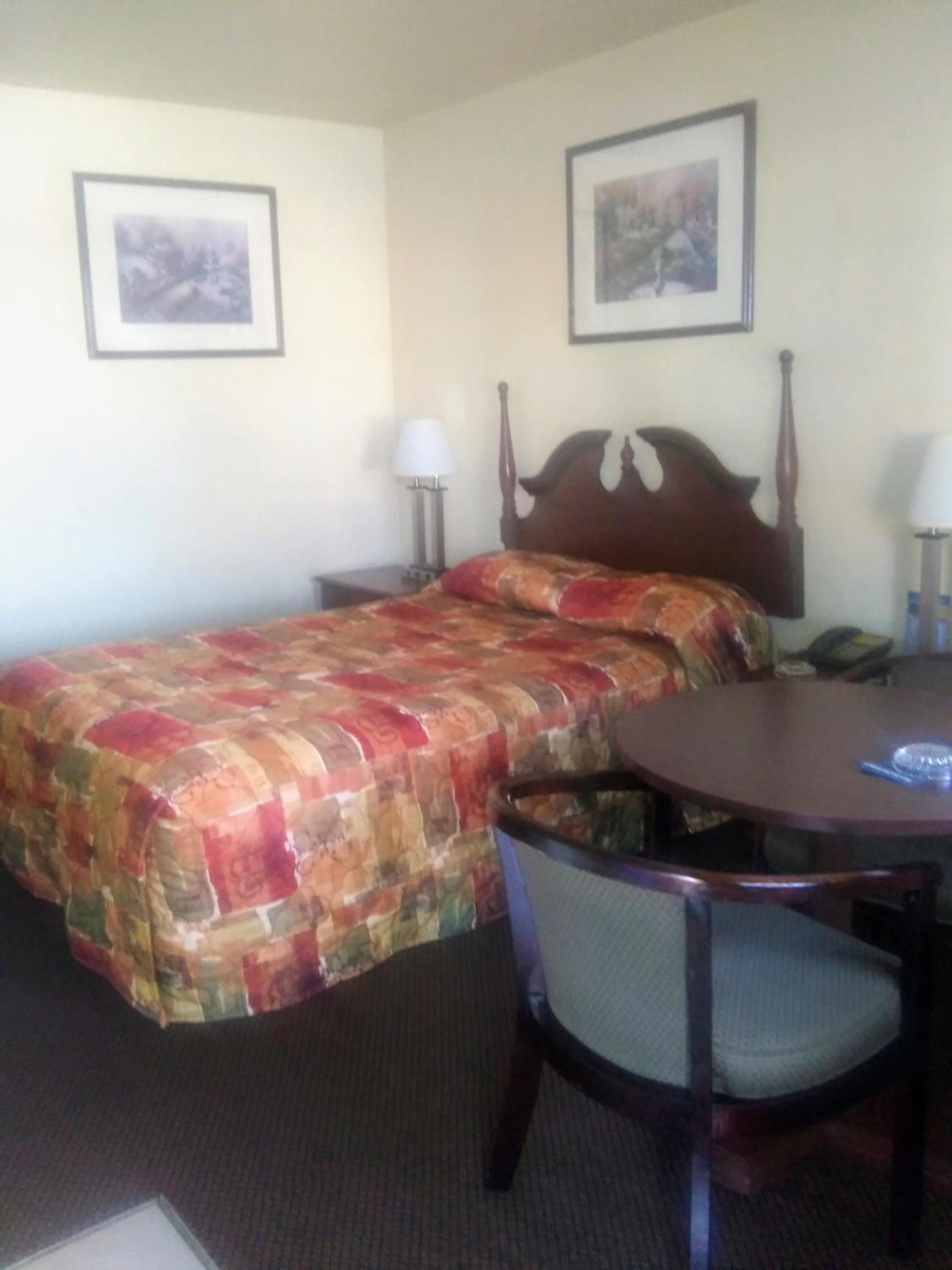 Single Room - Disability Access photo 1